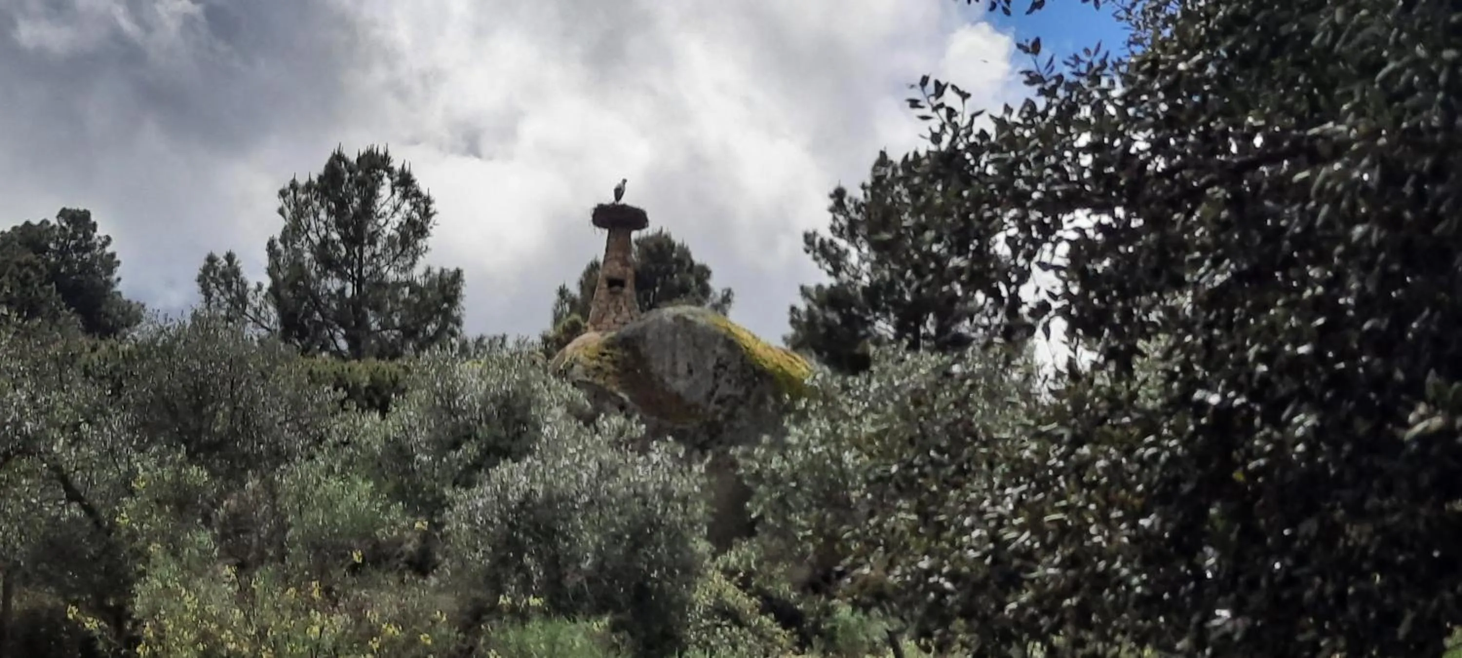 Day in Tapada da Rabela - Reserva Natural