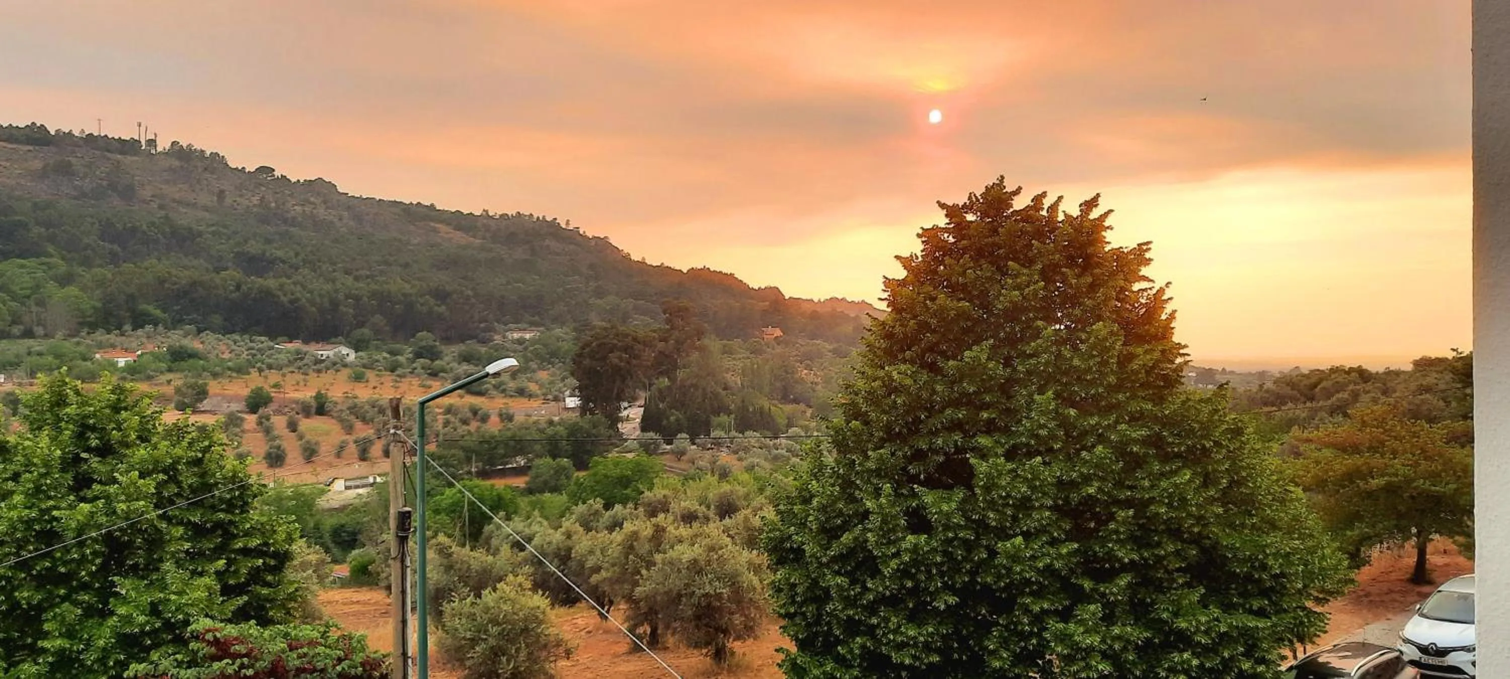 Natural landscape in Tapada da Rabela - Reserva Natural