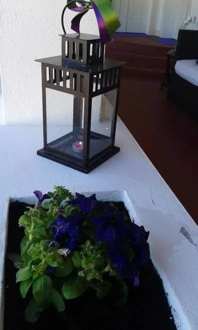 Property building in Tapada da Rabela - Reserva Natural