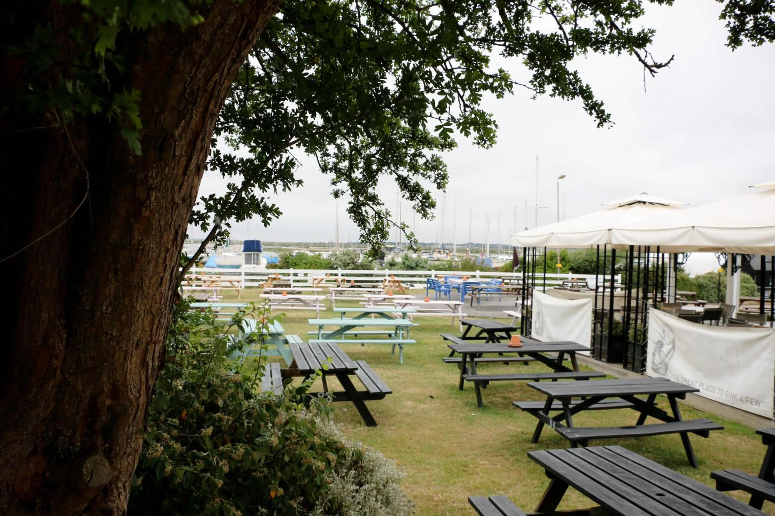 Garden view in The Victory at Mersea