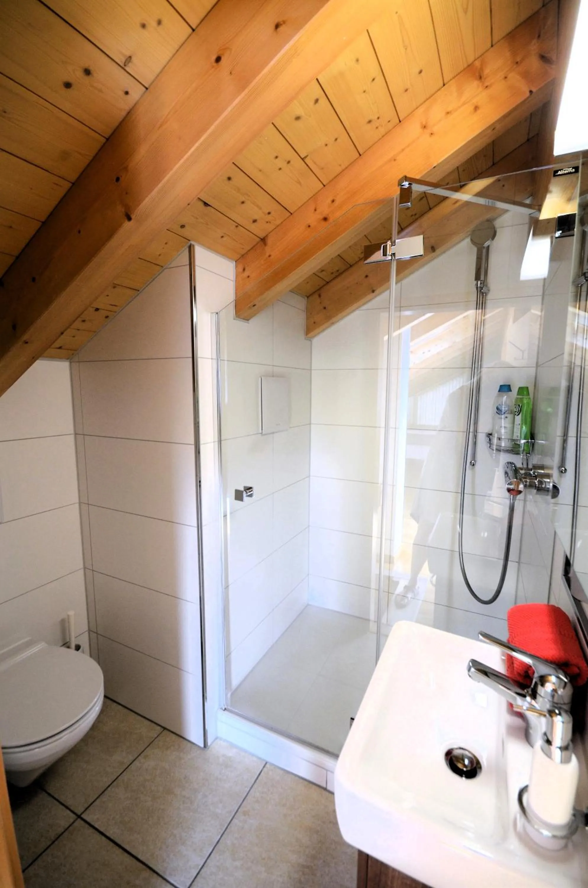 Shower in Luxury Penthouse Apartment