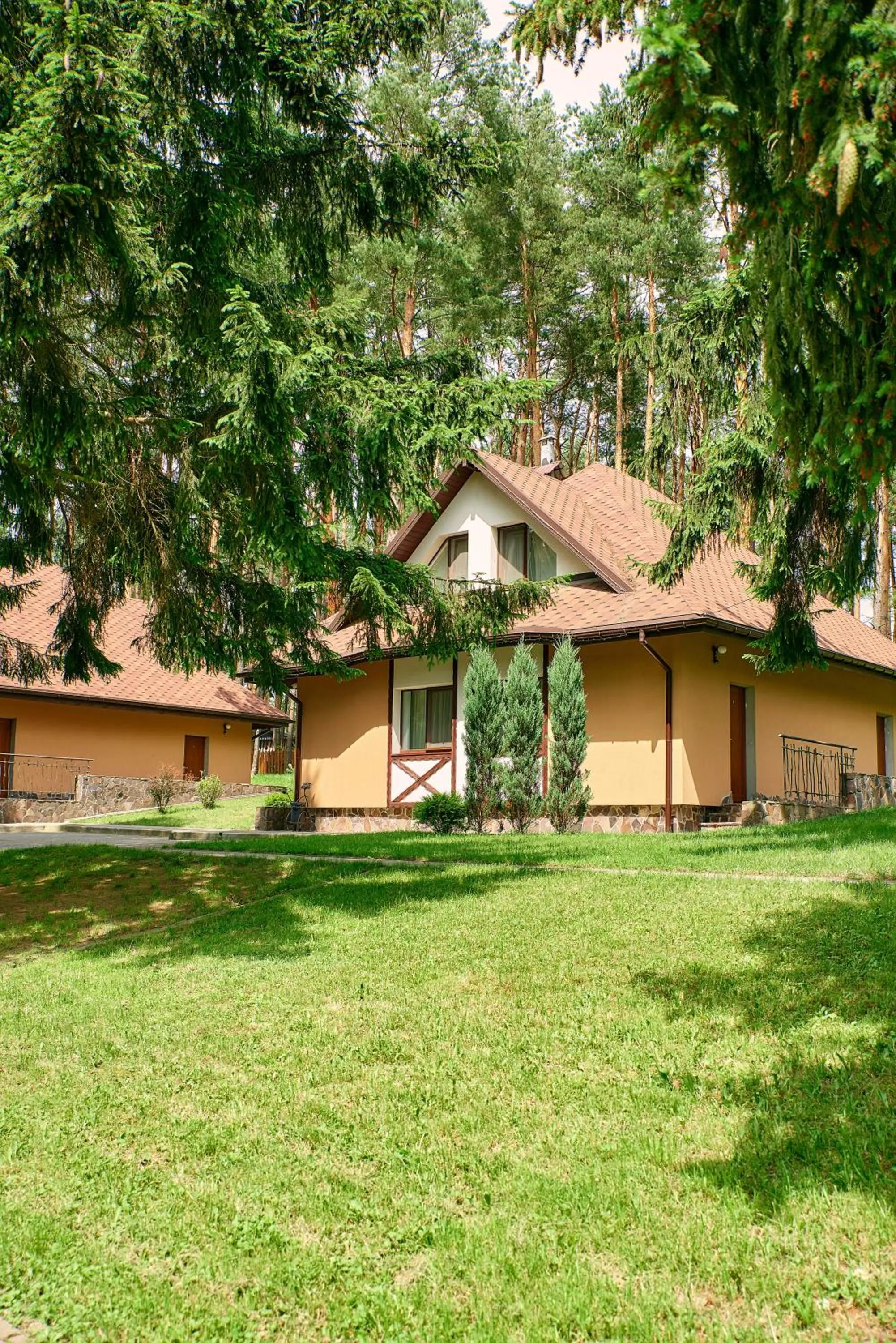 Property building in Kryve Ozero