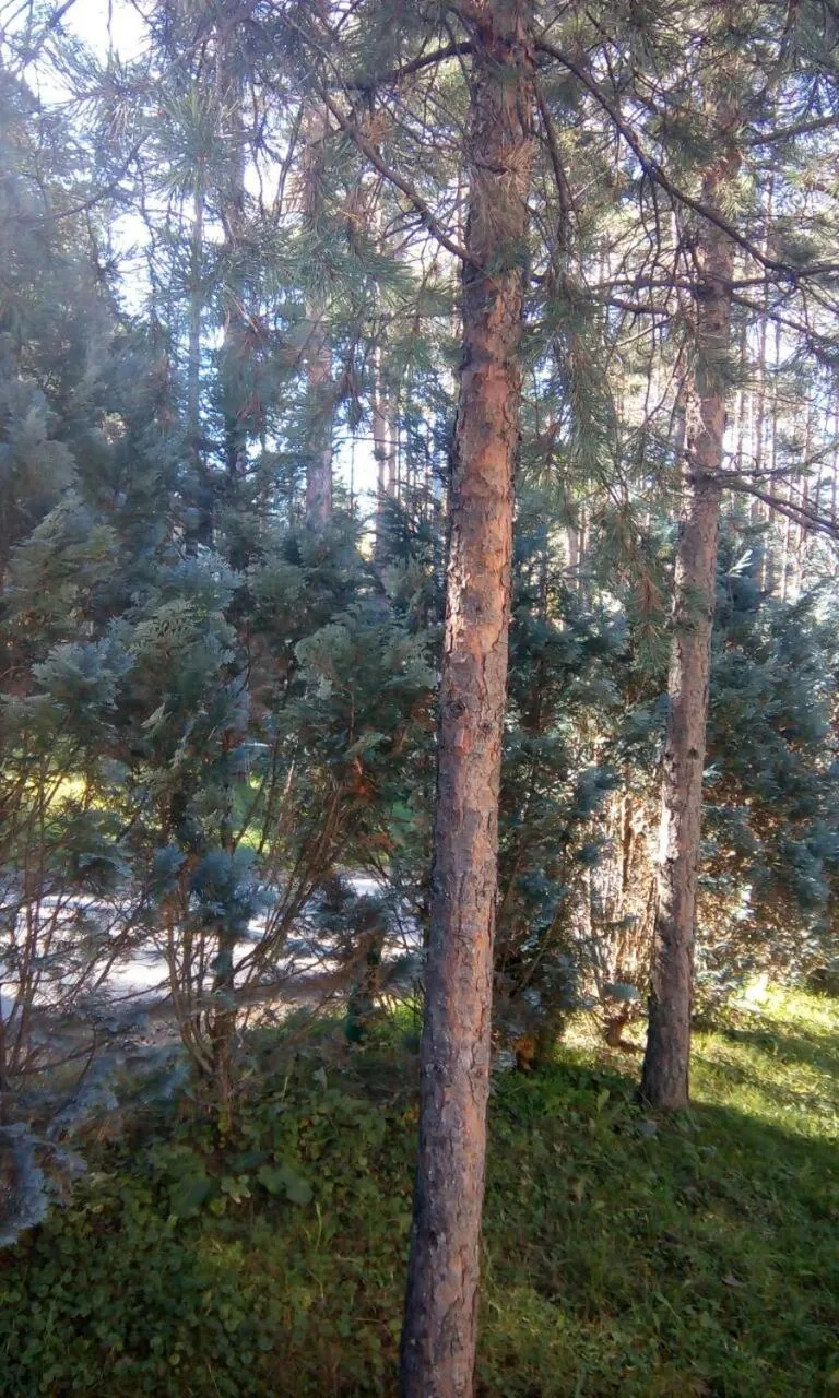 Day in Apartment 9 Gorska Vila