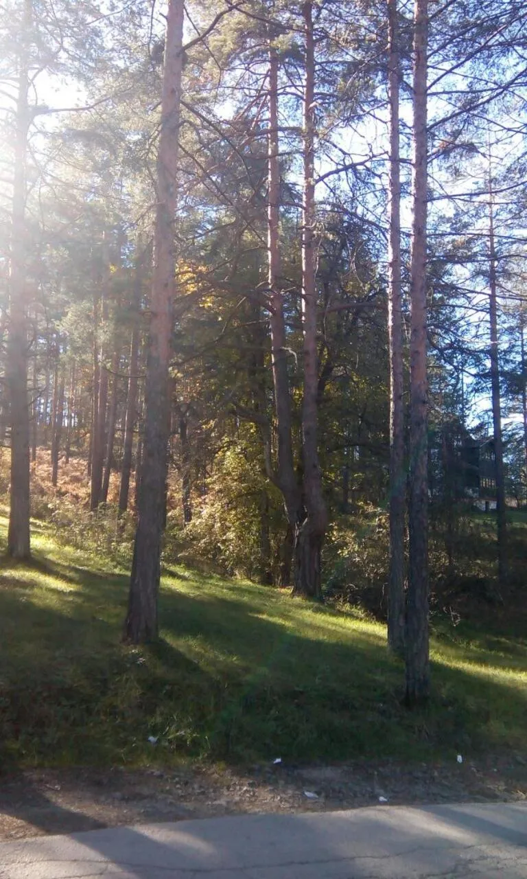 Day in Apartment 9 Gorska Vila