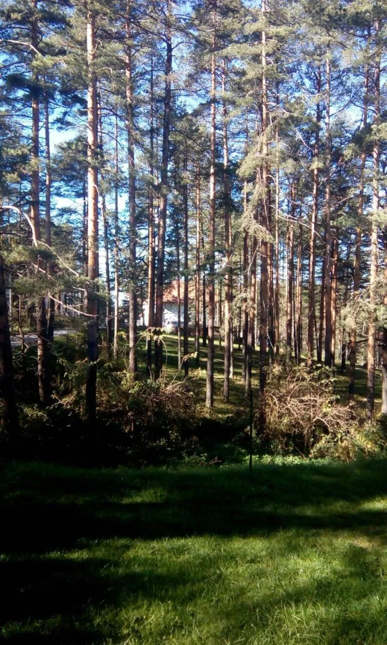 Natural landscape in Apartment 9 Gorska Vila