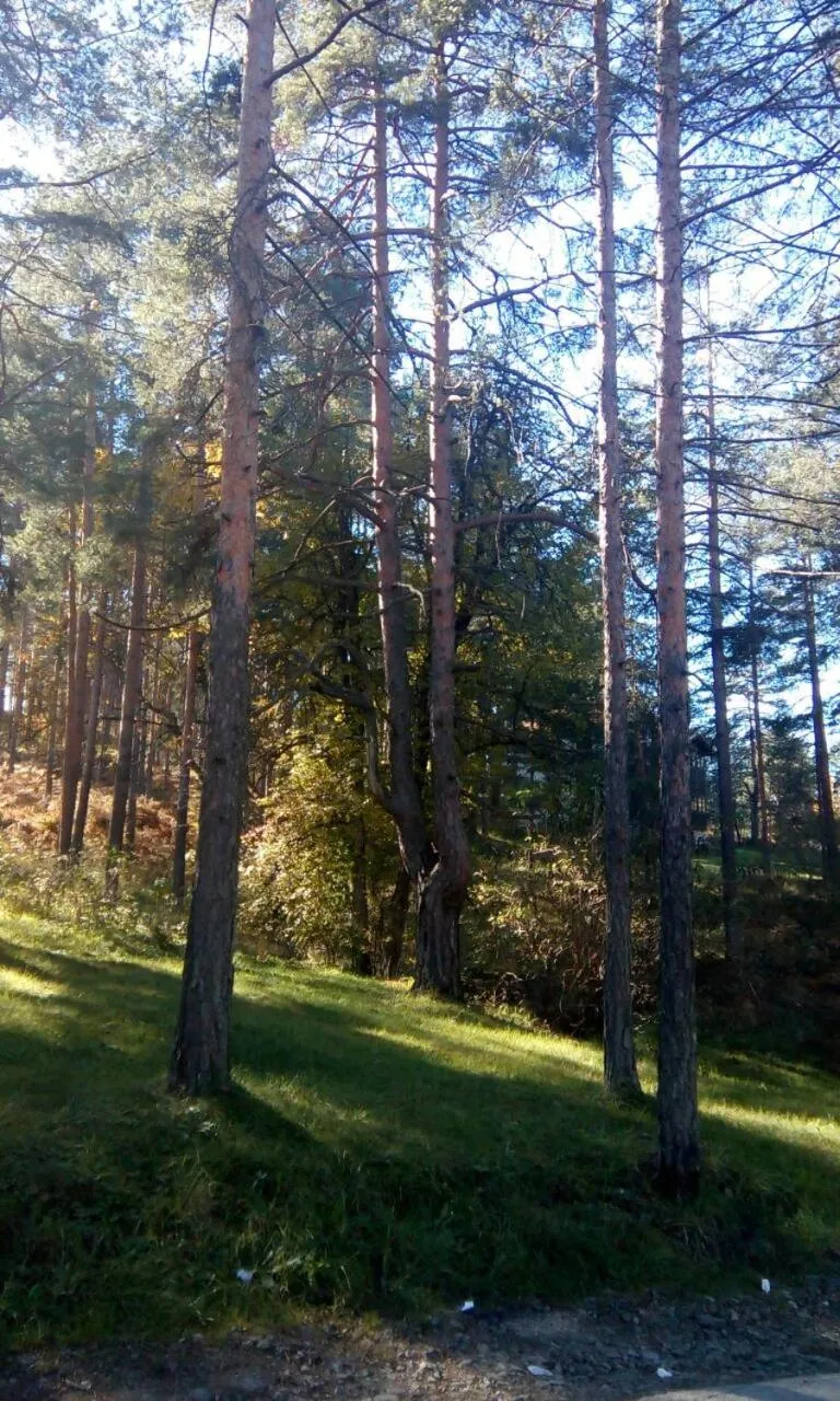 Day in Apartment 9 Gorska Vila