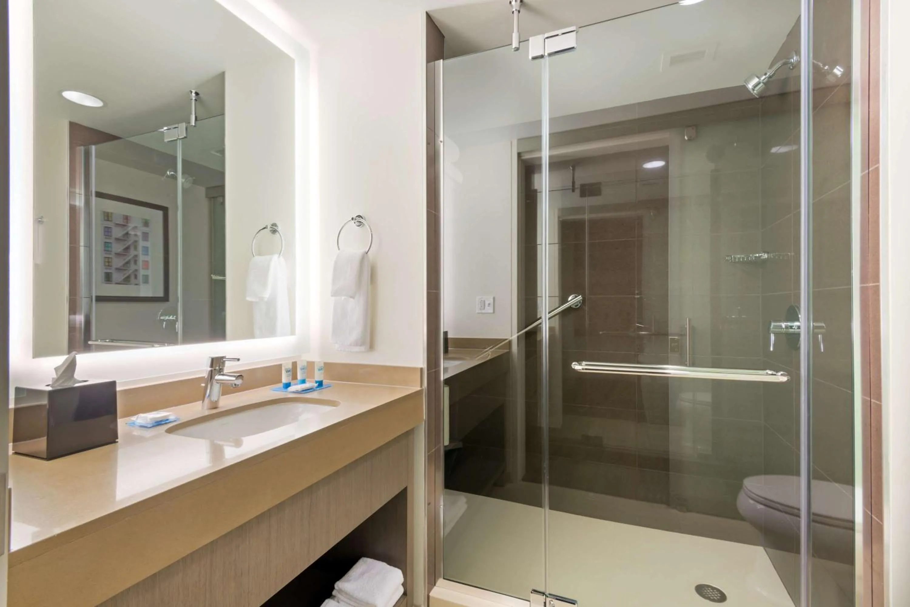 Bathroom in Hyatt House Denver/Downtown