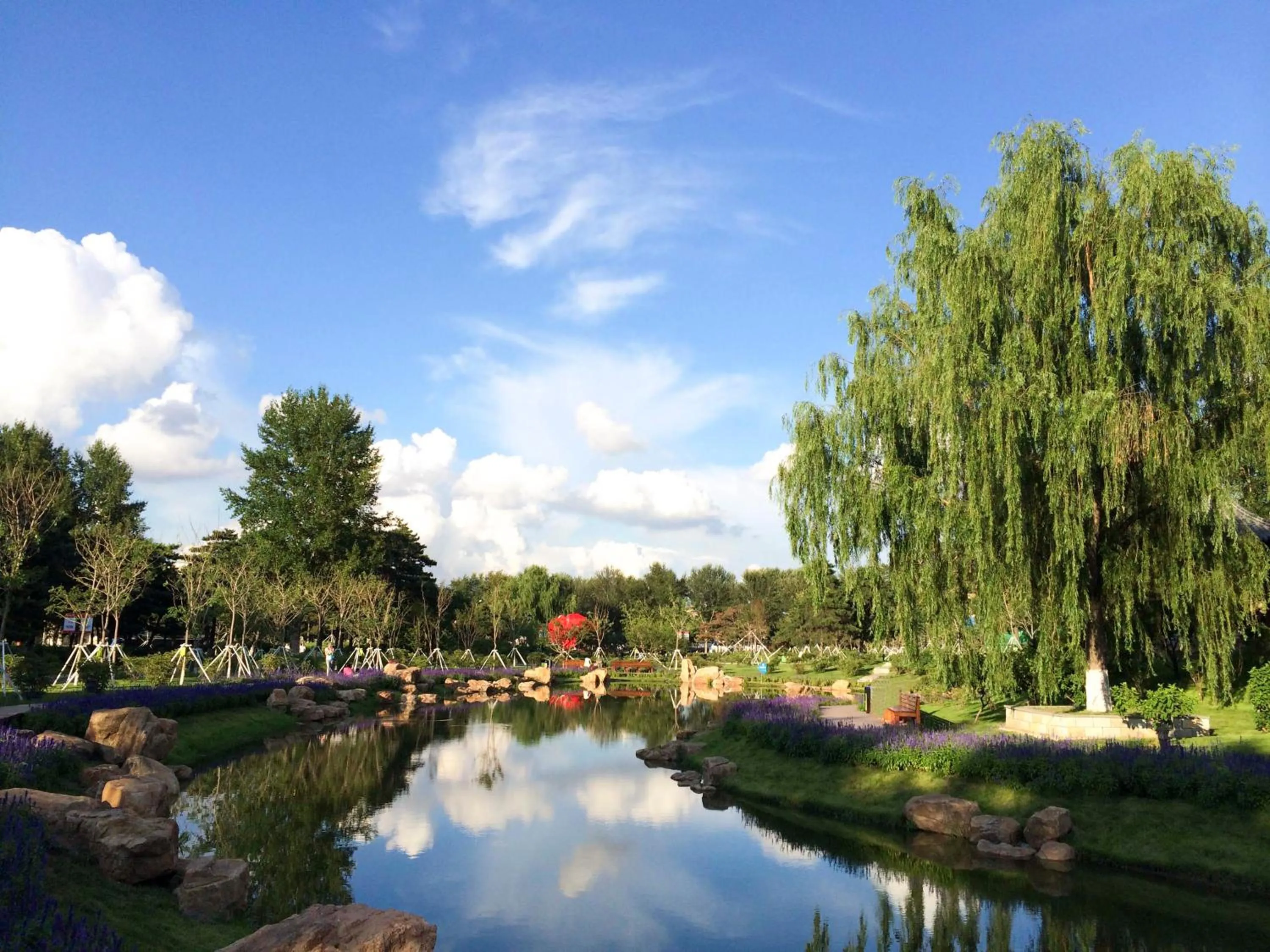 Natural landscape in Hyatt Regency Changchun