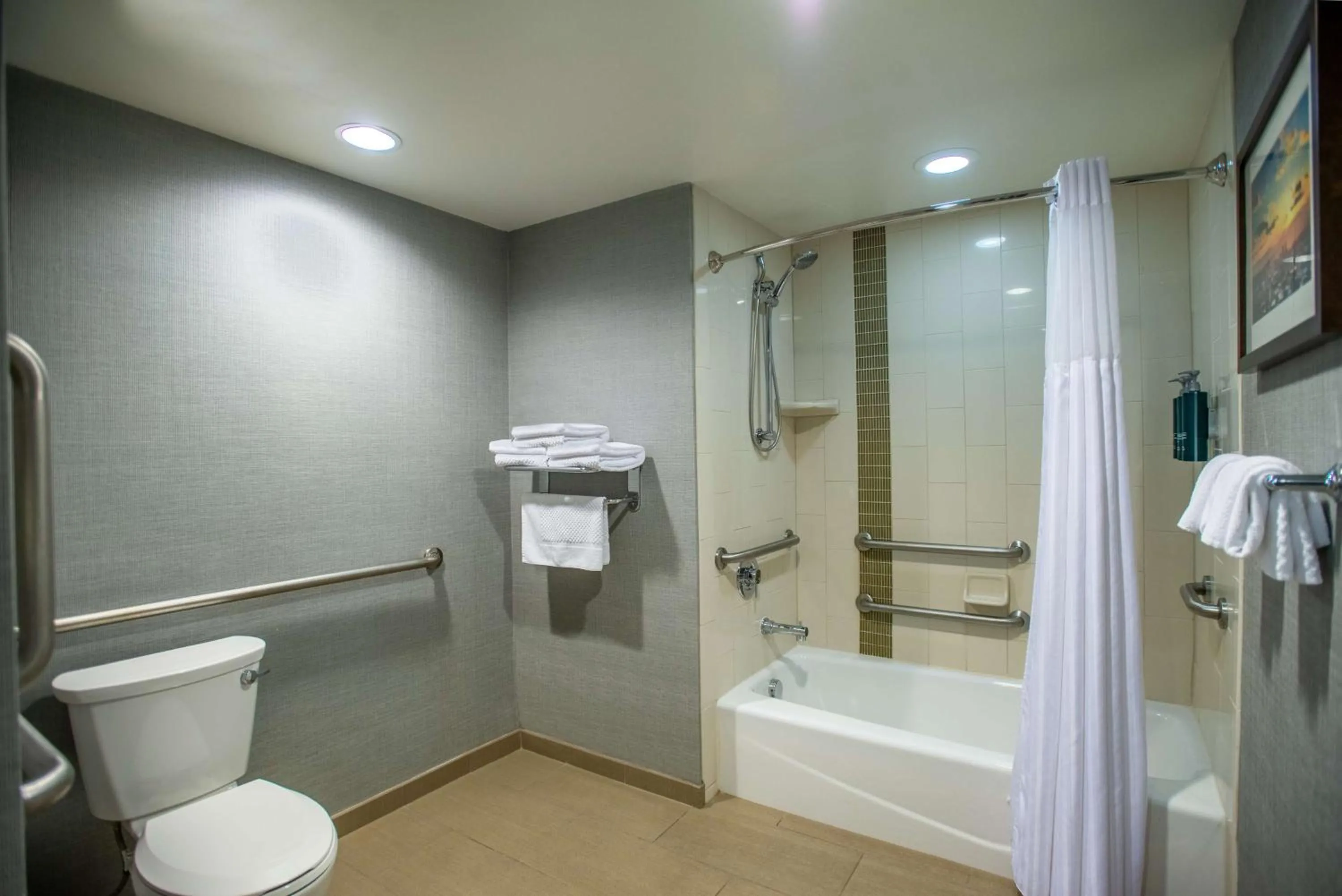 Bathroom in DoubleTree by Hilton Asheville Downtown