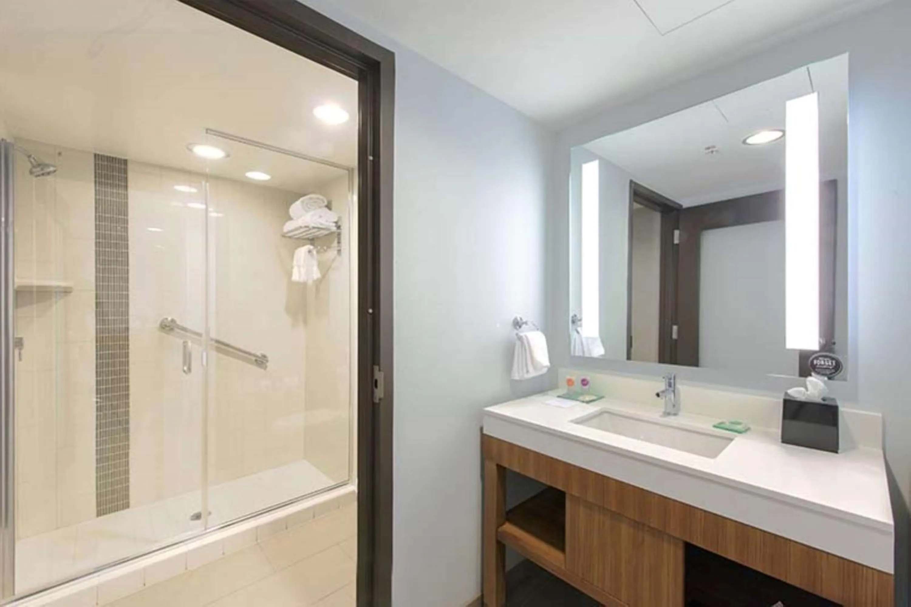 Bathroom in DoubleTree by Hilton Asheville Downtown