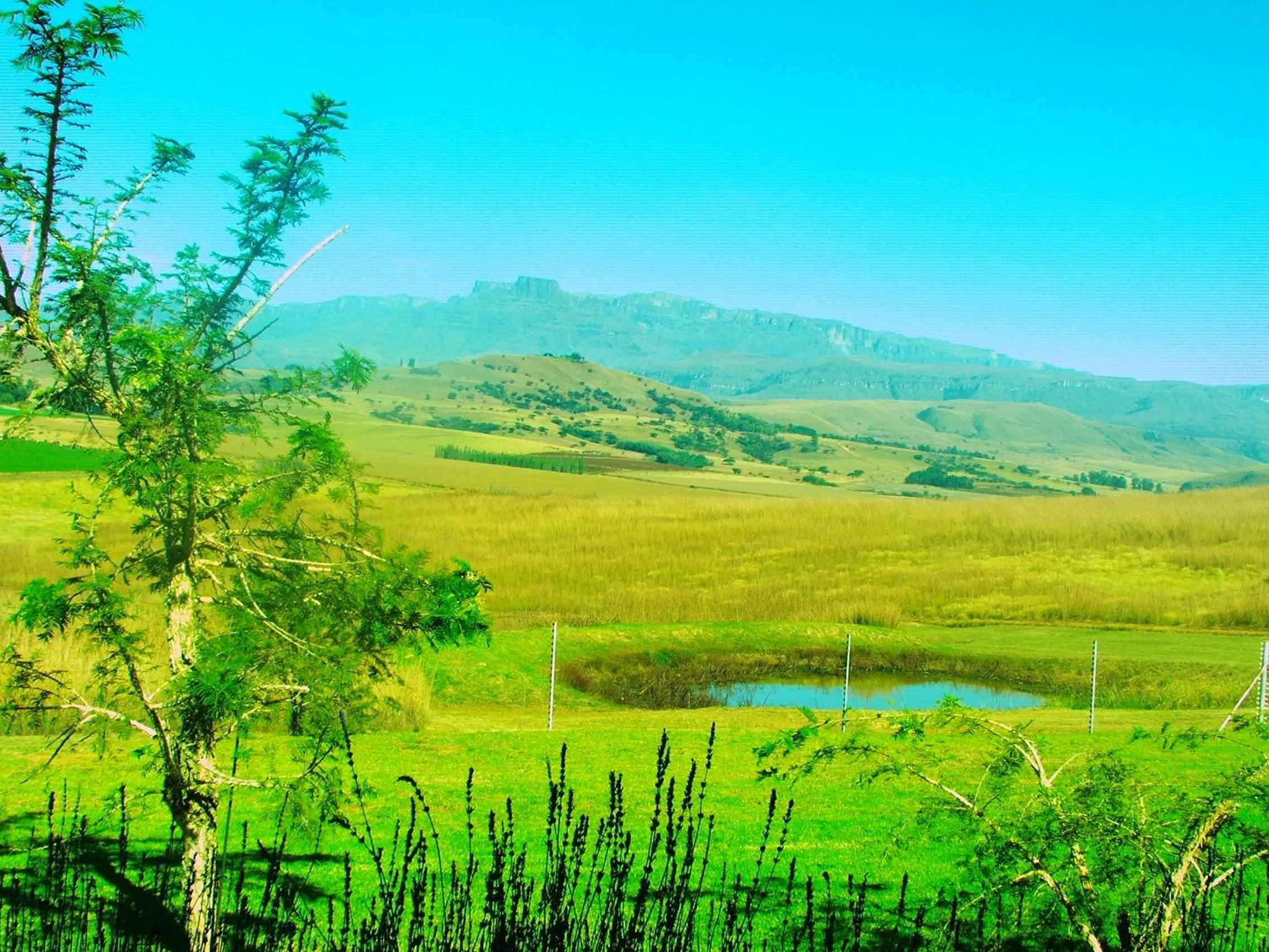 Day in River Crossing