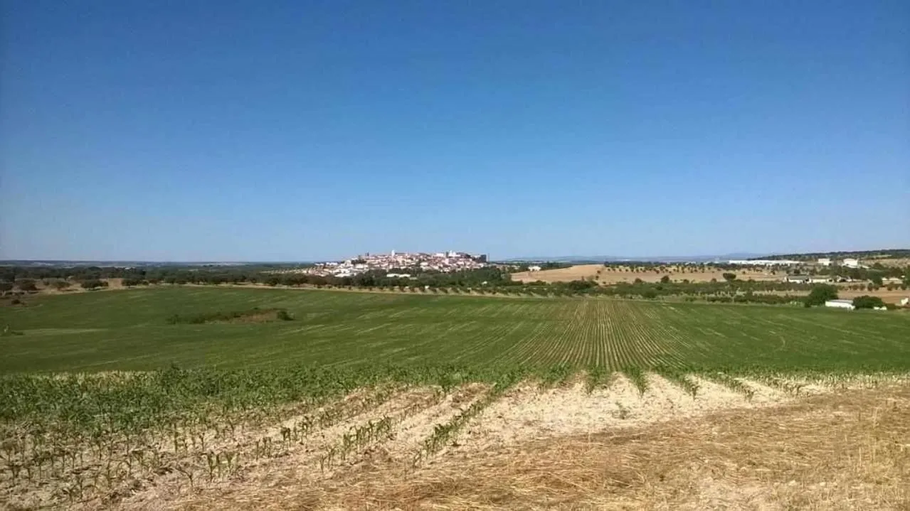 Herdade da Fonte Ferreira