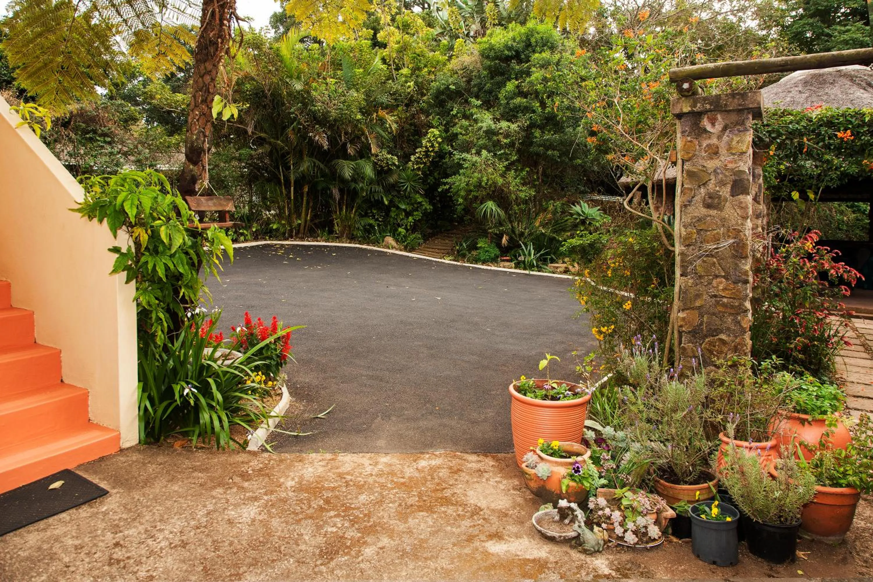 Garden in York House Guest House