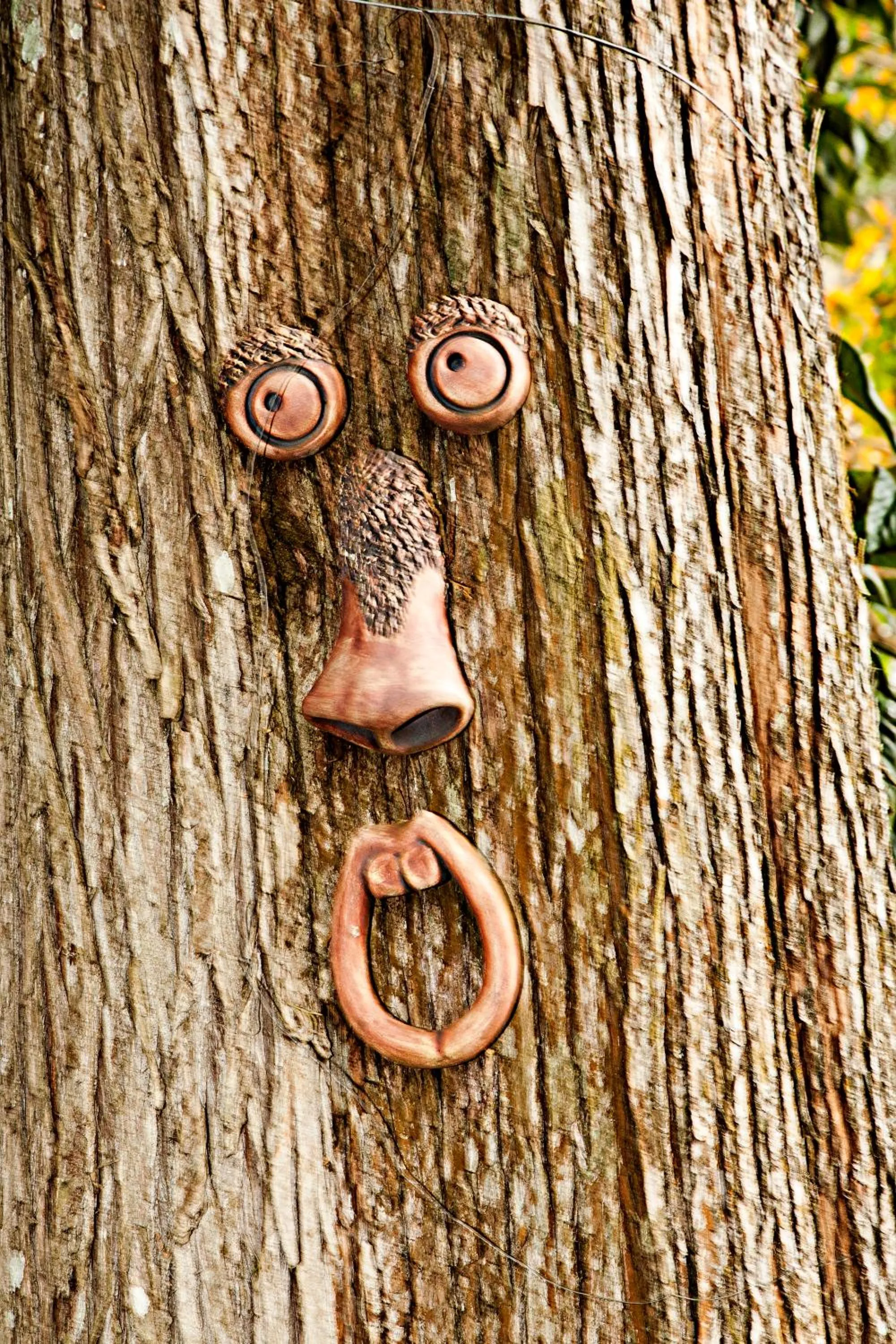 Garden in York House Guest House