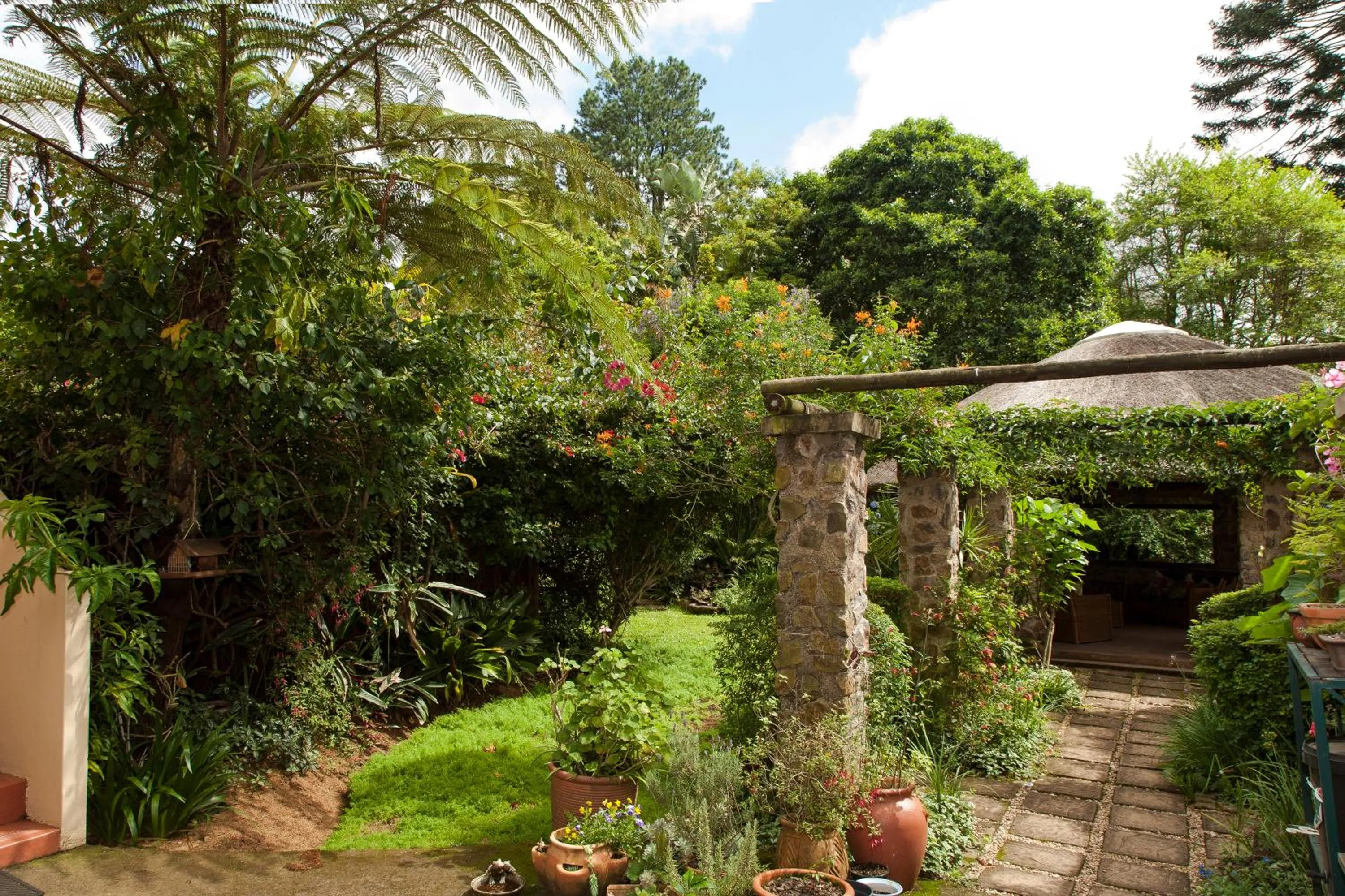 Garden in York House Guest House