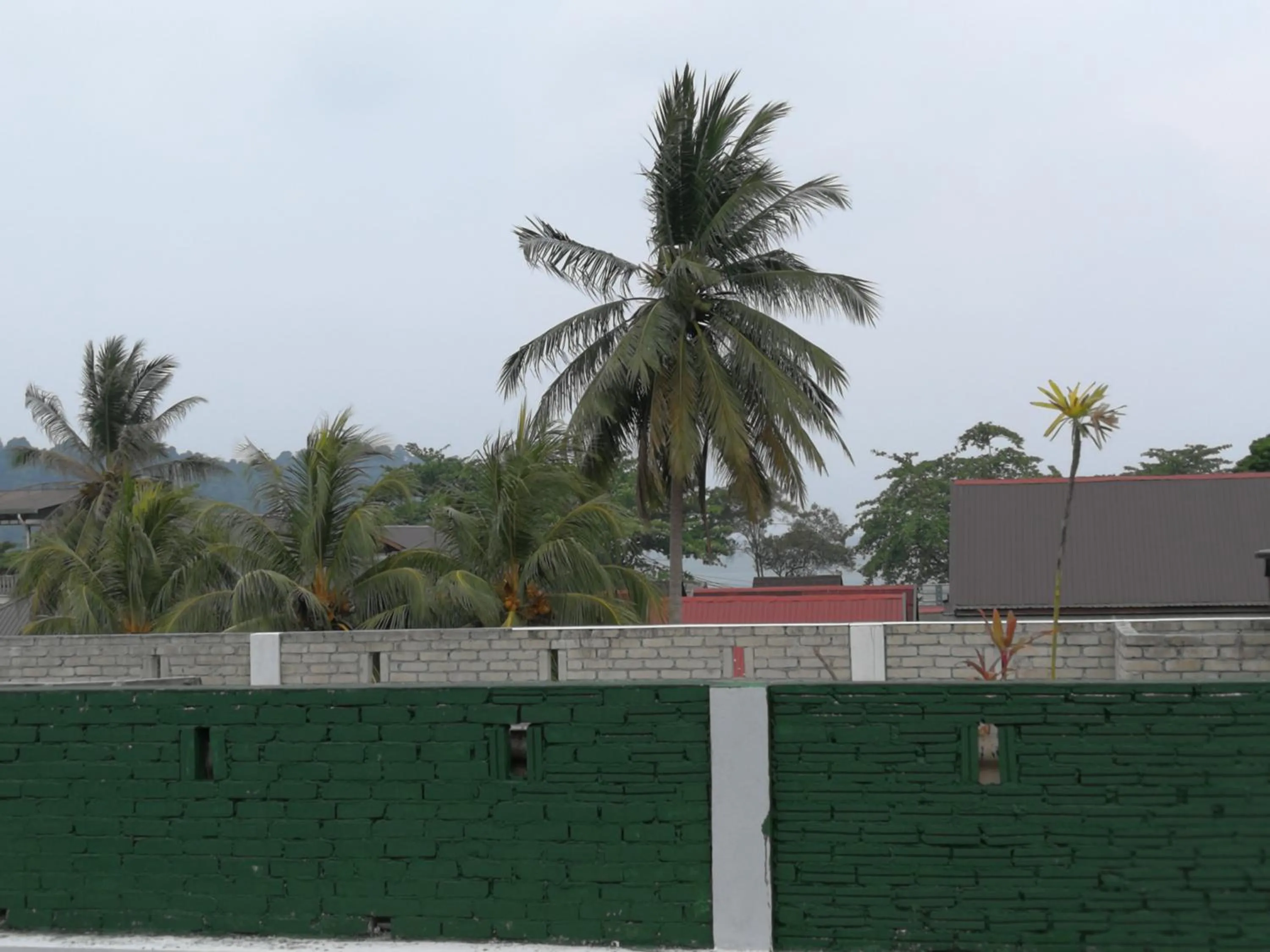 Natural landscape in Joe Fisherman Inn