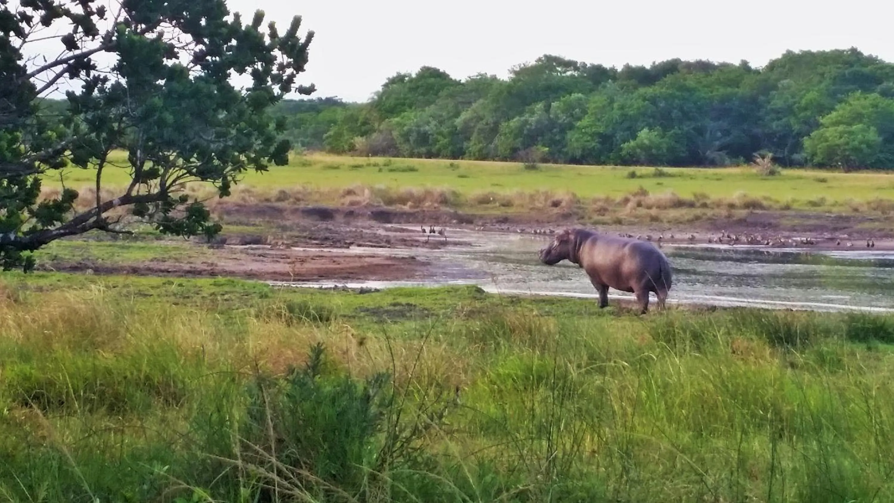 Nearby landmark in Umlilo Guest House
