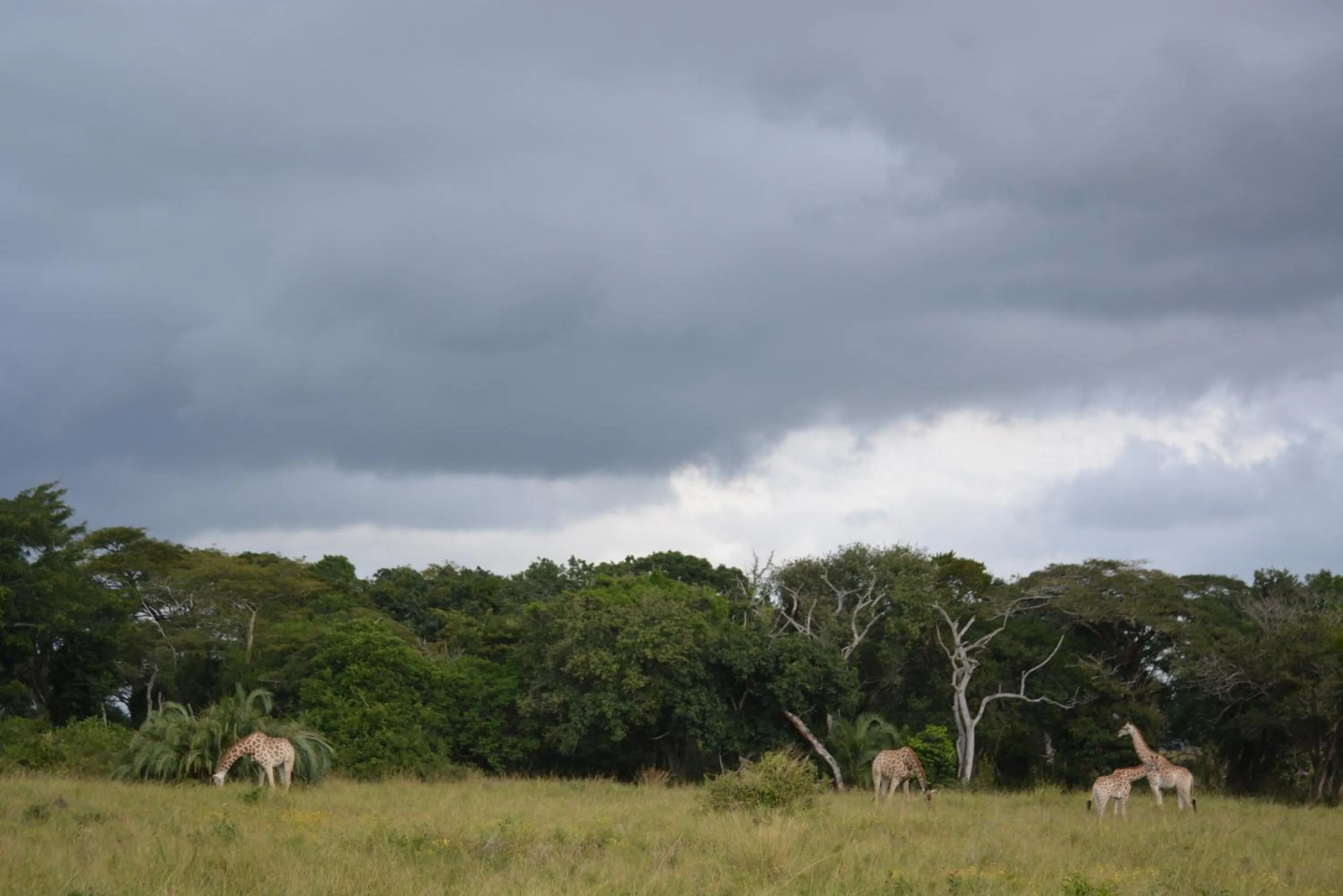 Nearby landmark in Umlilo Guest House
