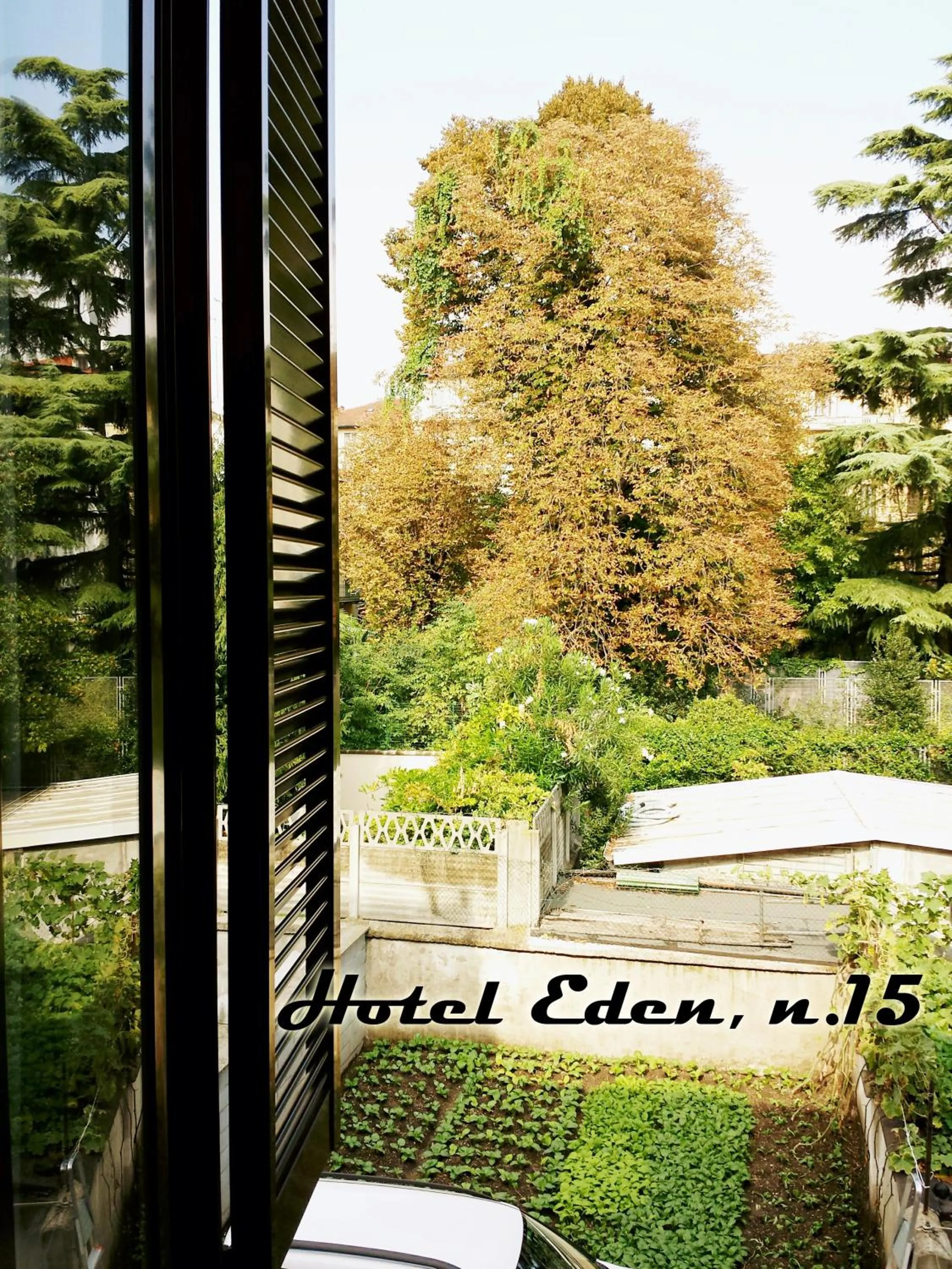 View (from property/room) in Hotel Eden