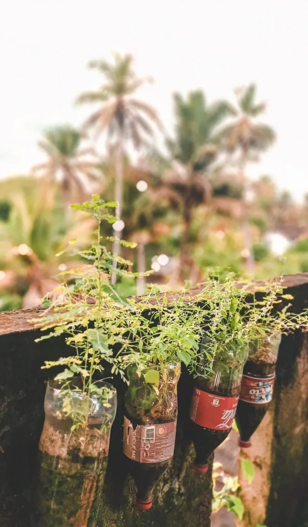 Weligama Bay Eco Villa