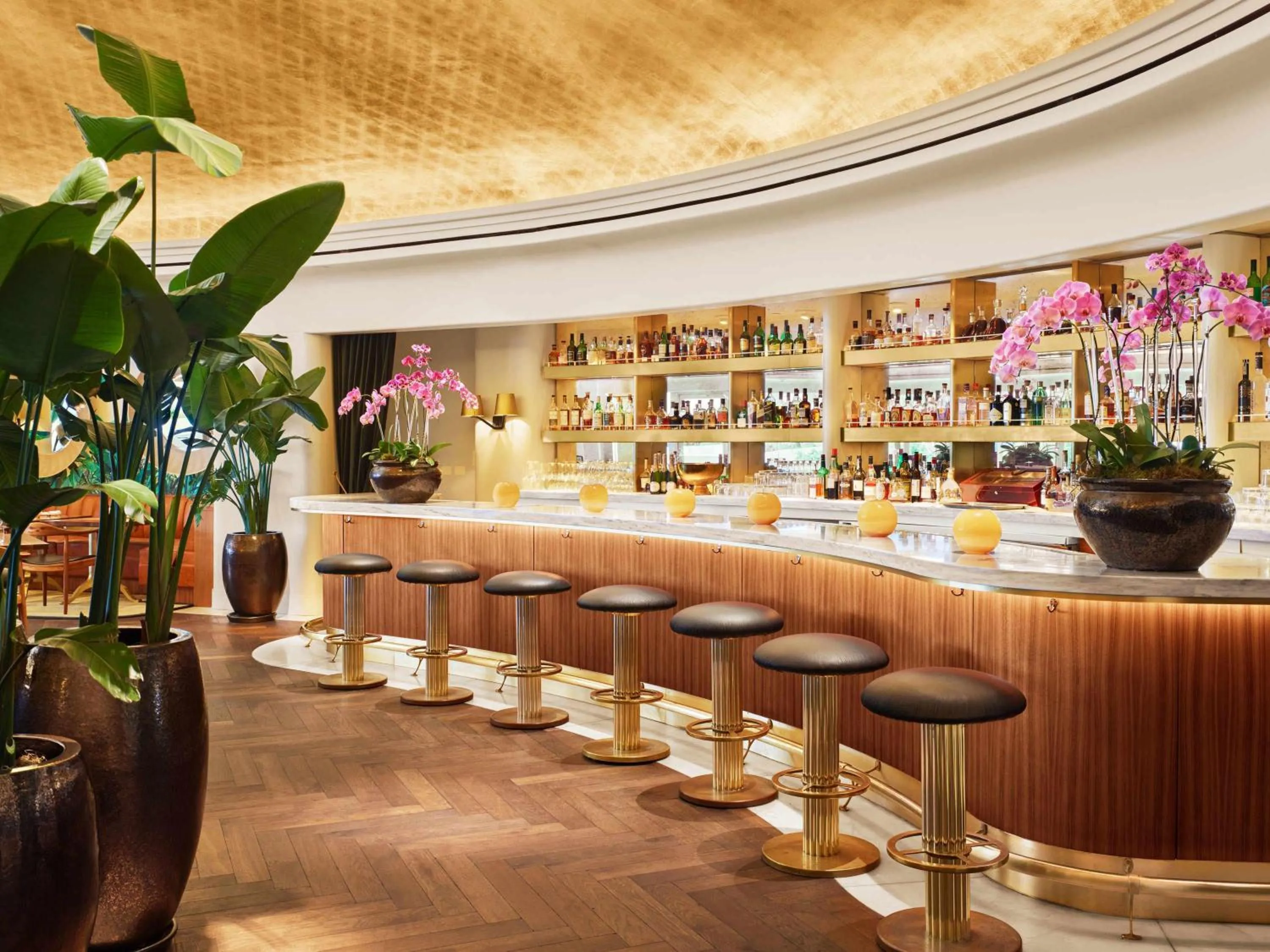 Restaurant/places to eat in Faena Hotel Miami Beach