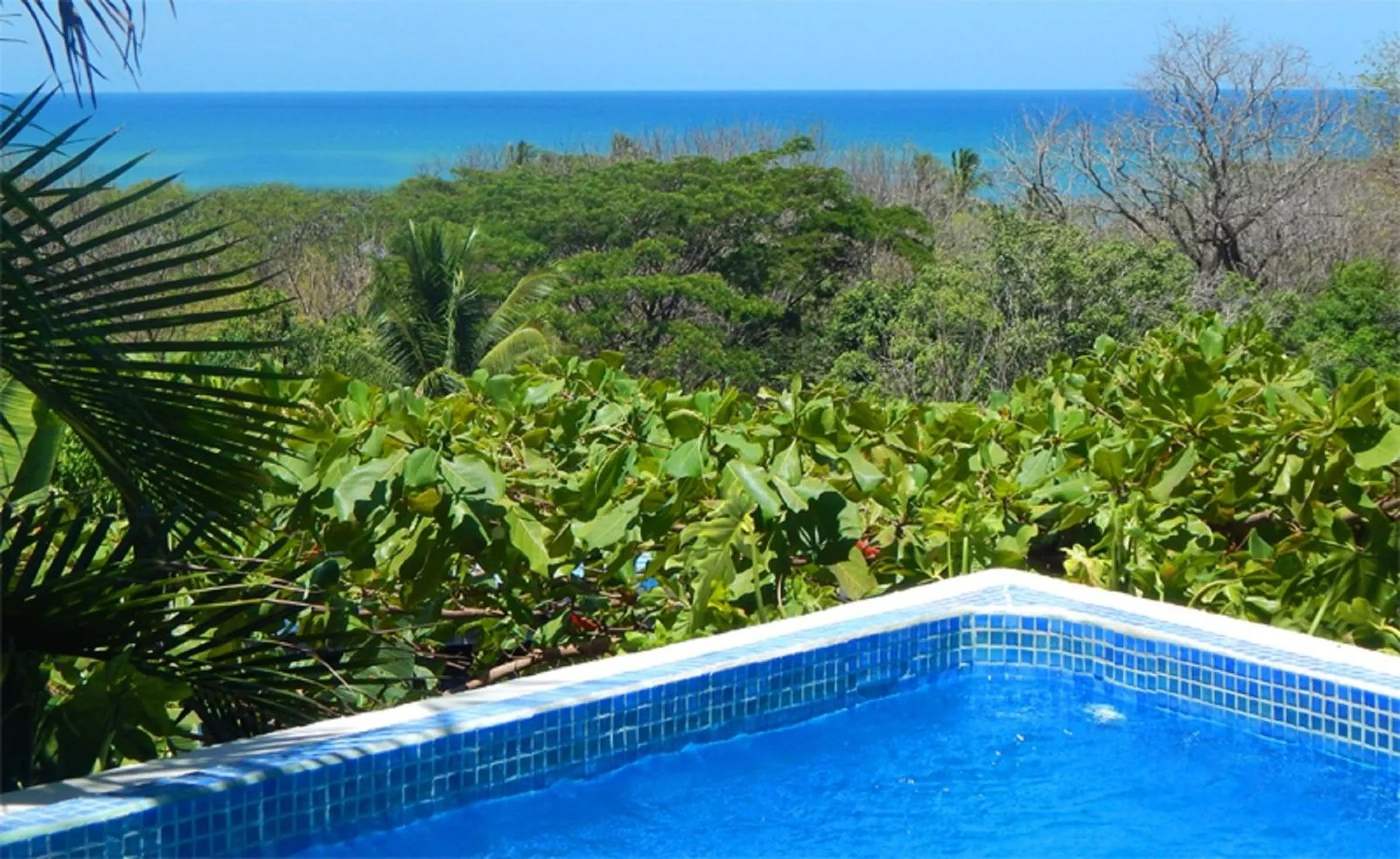 Pool view in Horizon Hotel & Yoga center