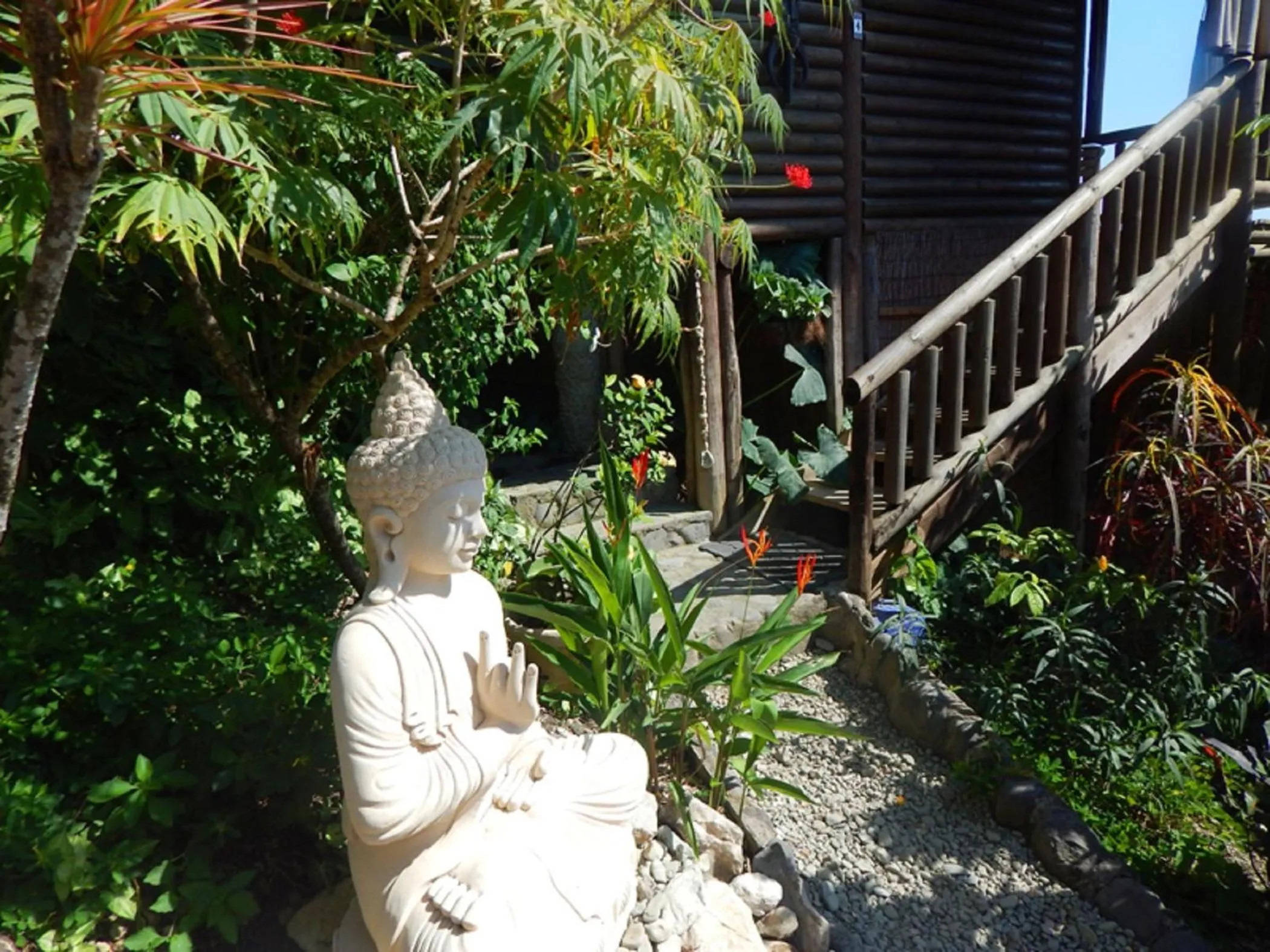 Garden view in Horizon Hotel & Yoga center
