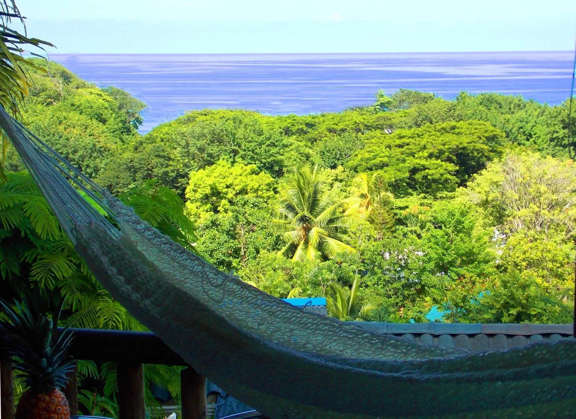Natural landscape in Horizon Hotel & Yoga center