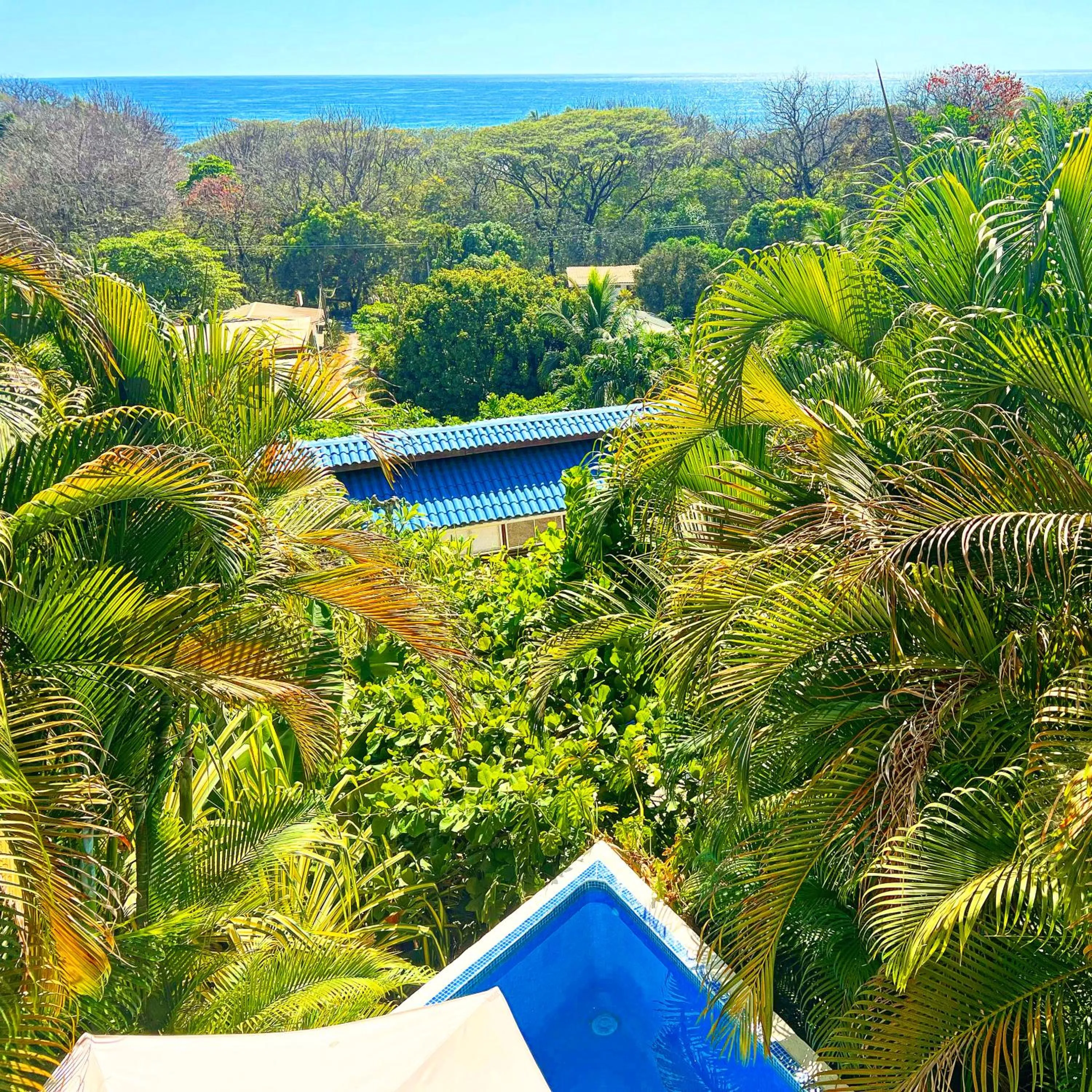 Natural landscape in Horizon Hotel & Yoga center