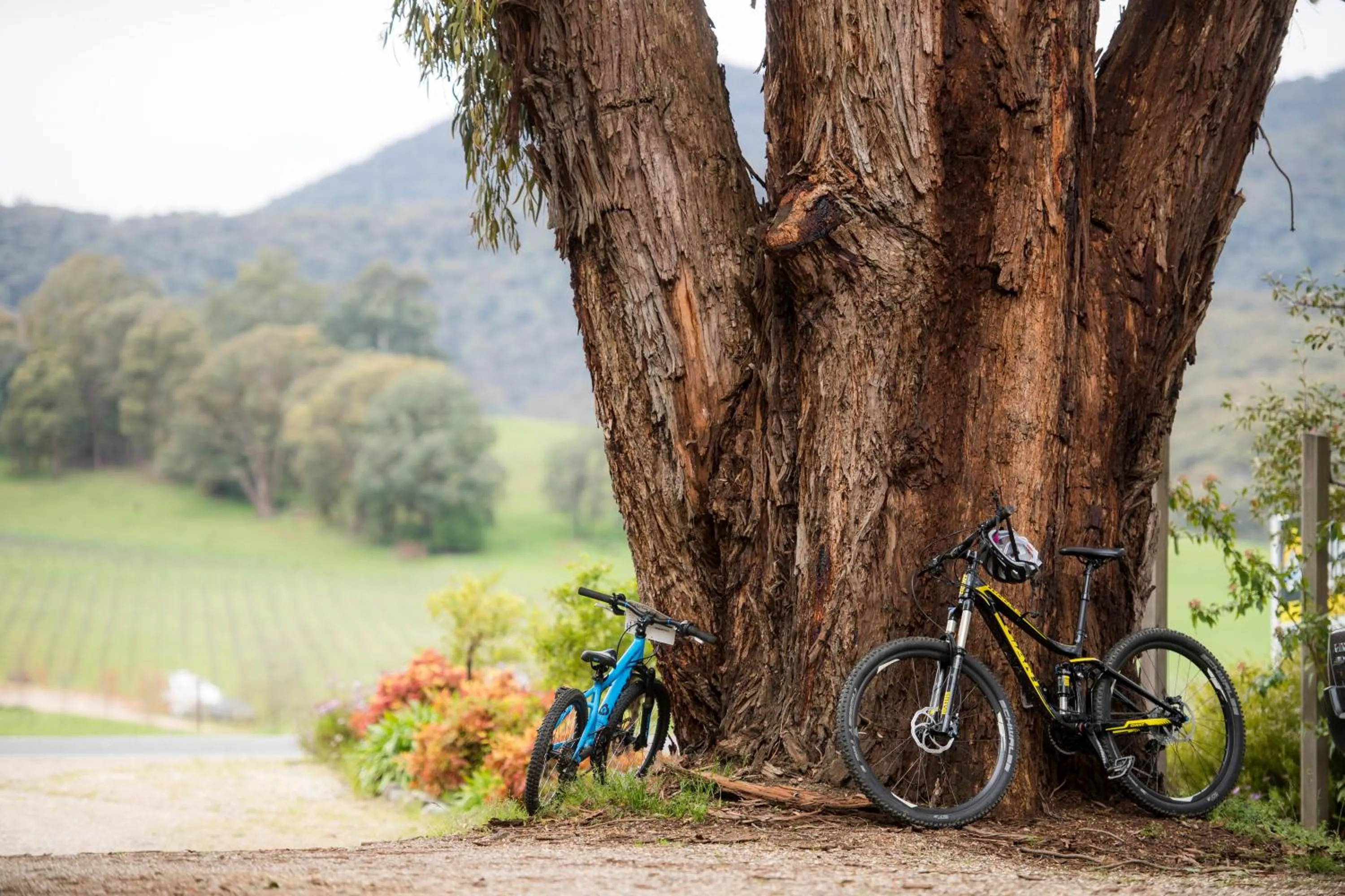 Street view in Restaway Holiday Units