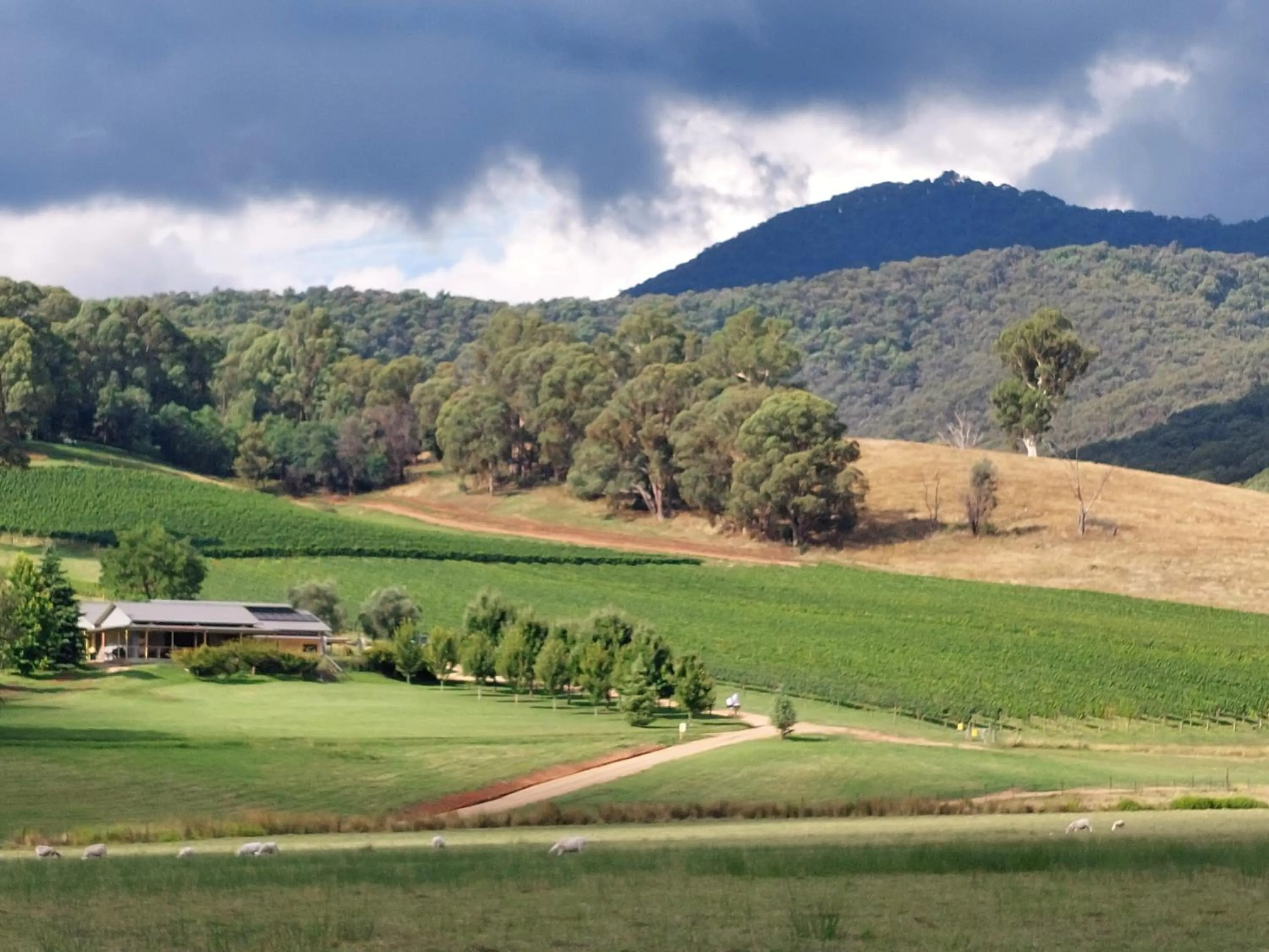 Activities in Restaway Holiday Units