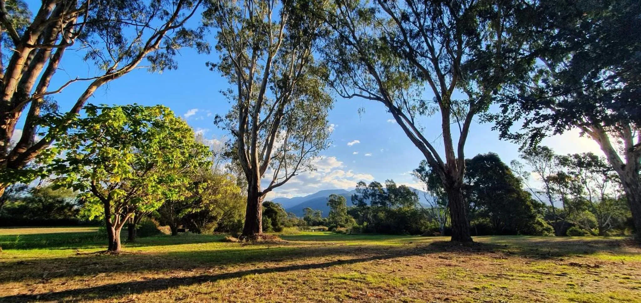 Natural landscape in Restaway Holiday Units