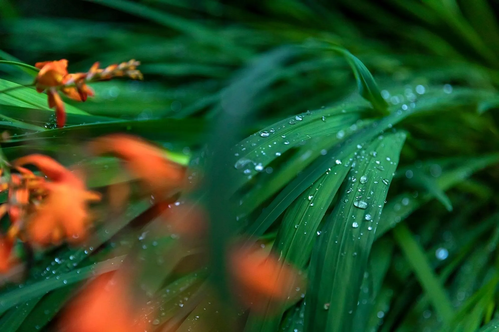 Property building in Yufuin Yufusaryo