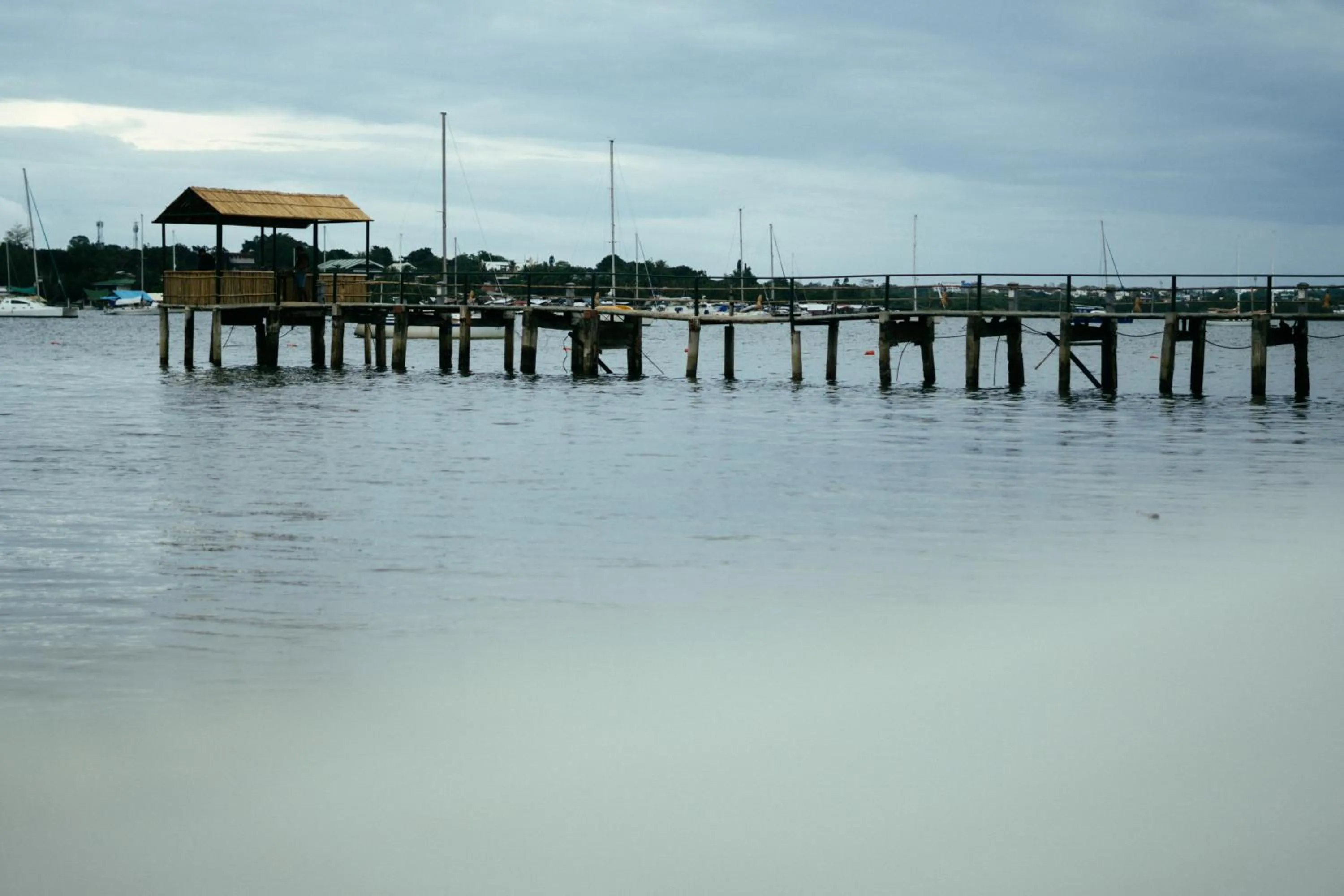 Natural landscape in Marina Palawan Boutique Nature Resort
