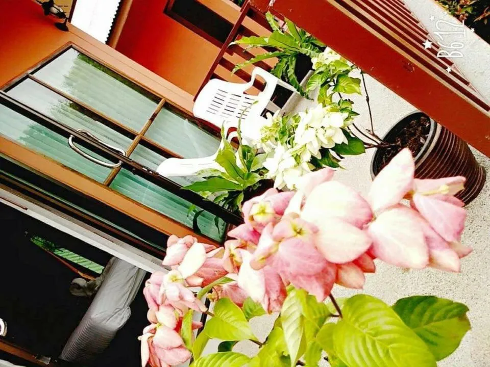 Lanta Cottage - SHA Plus