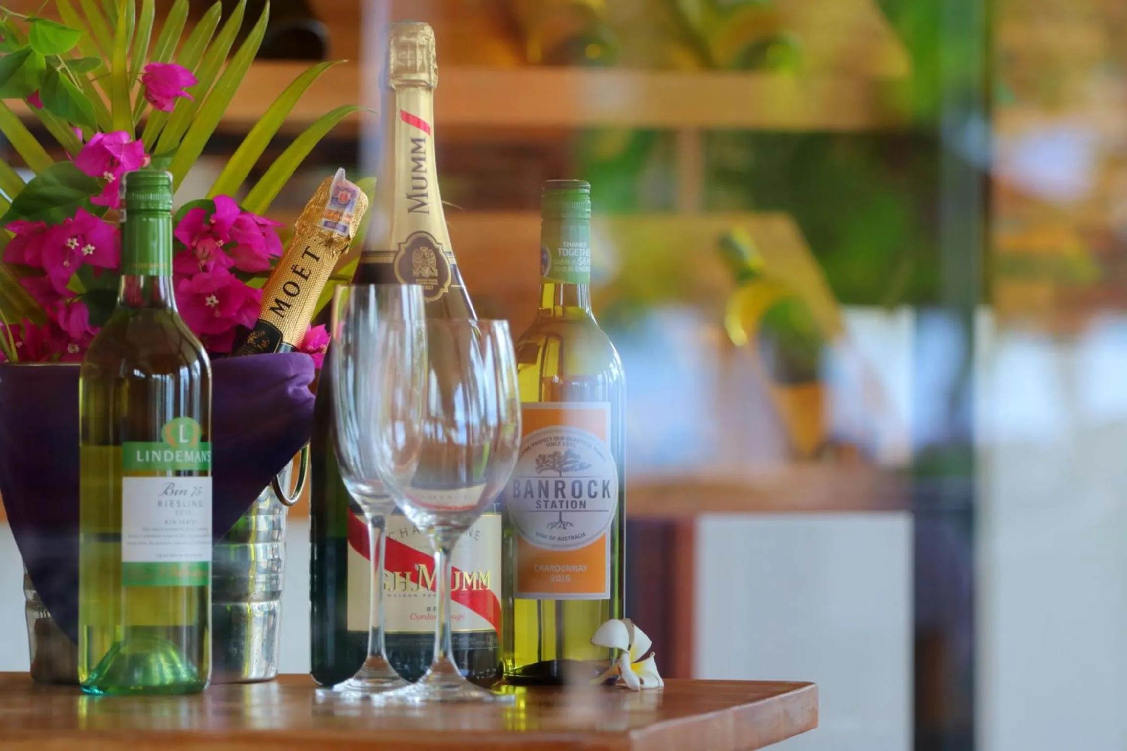 Alcoholic drinks in Anema Wellness & Resort Gili Lombok - Diving Center PADI