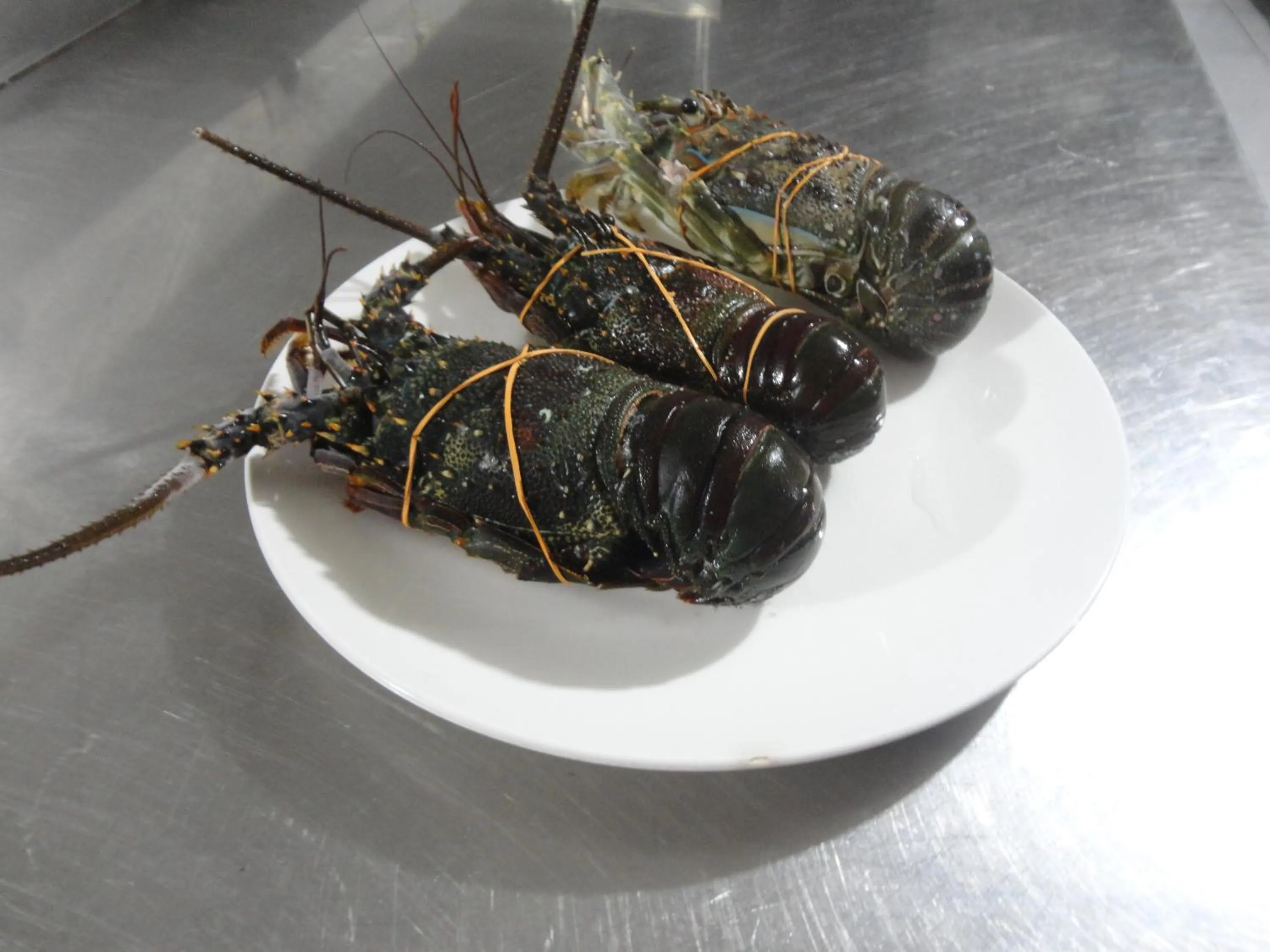 Food in Anema Wellness & Resort Gili Lombok - Diving Center PADI