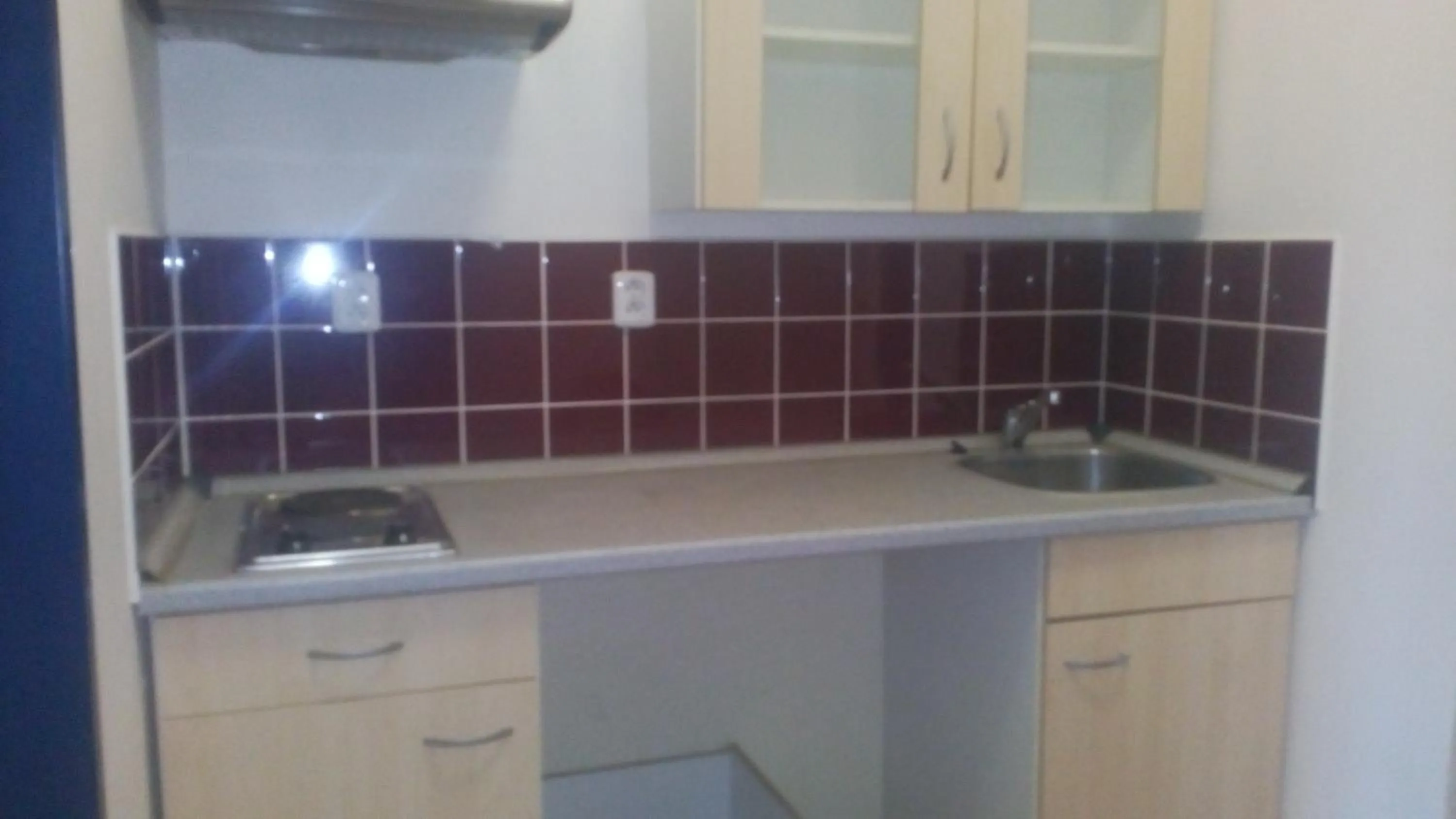 Kitchen or kitchenette in Hotel Britz