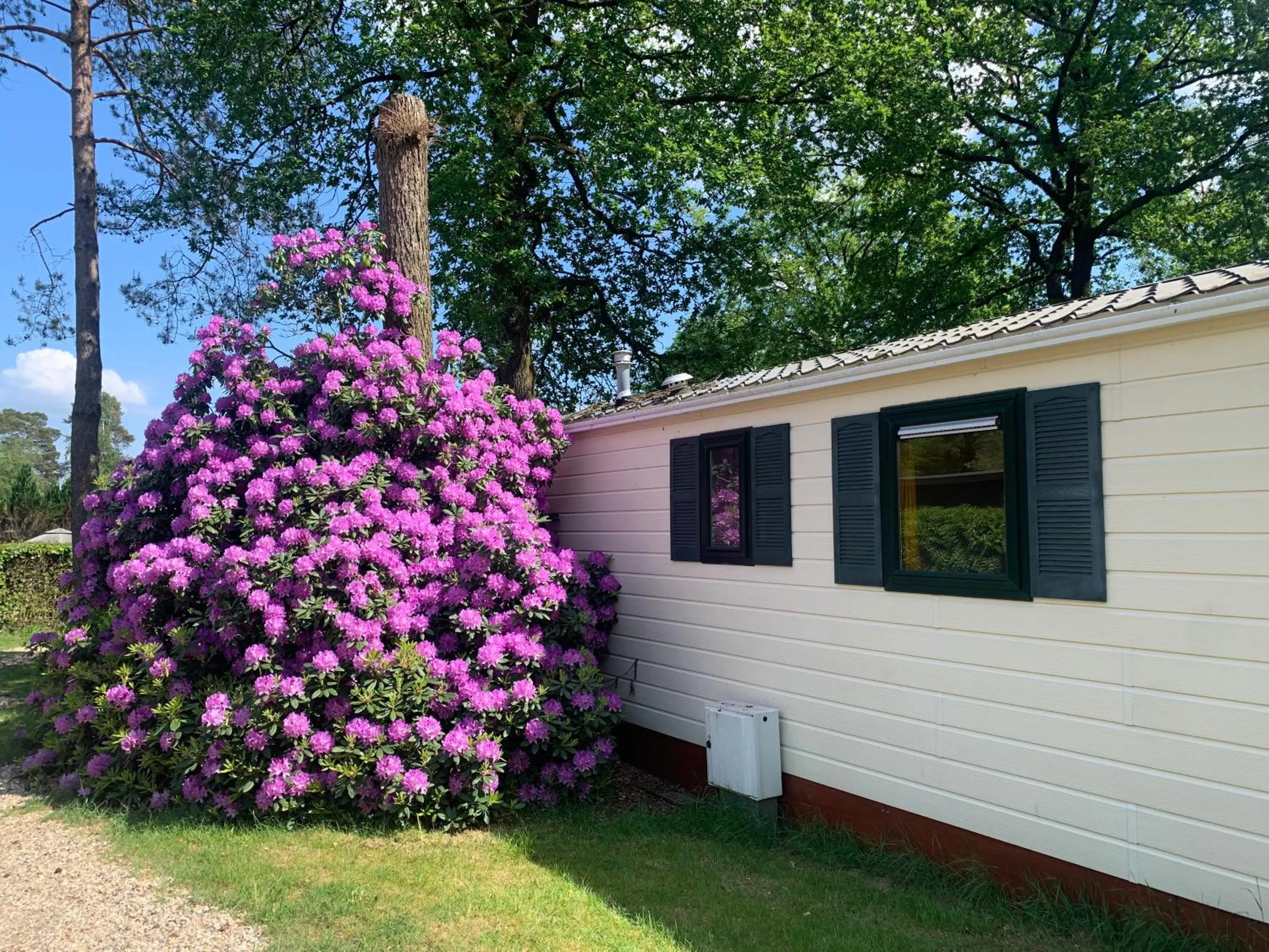 Garden in Sunnychalet