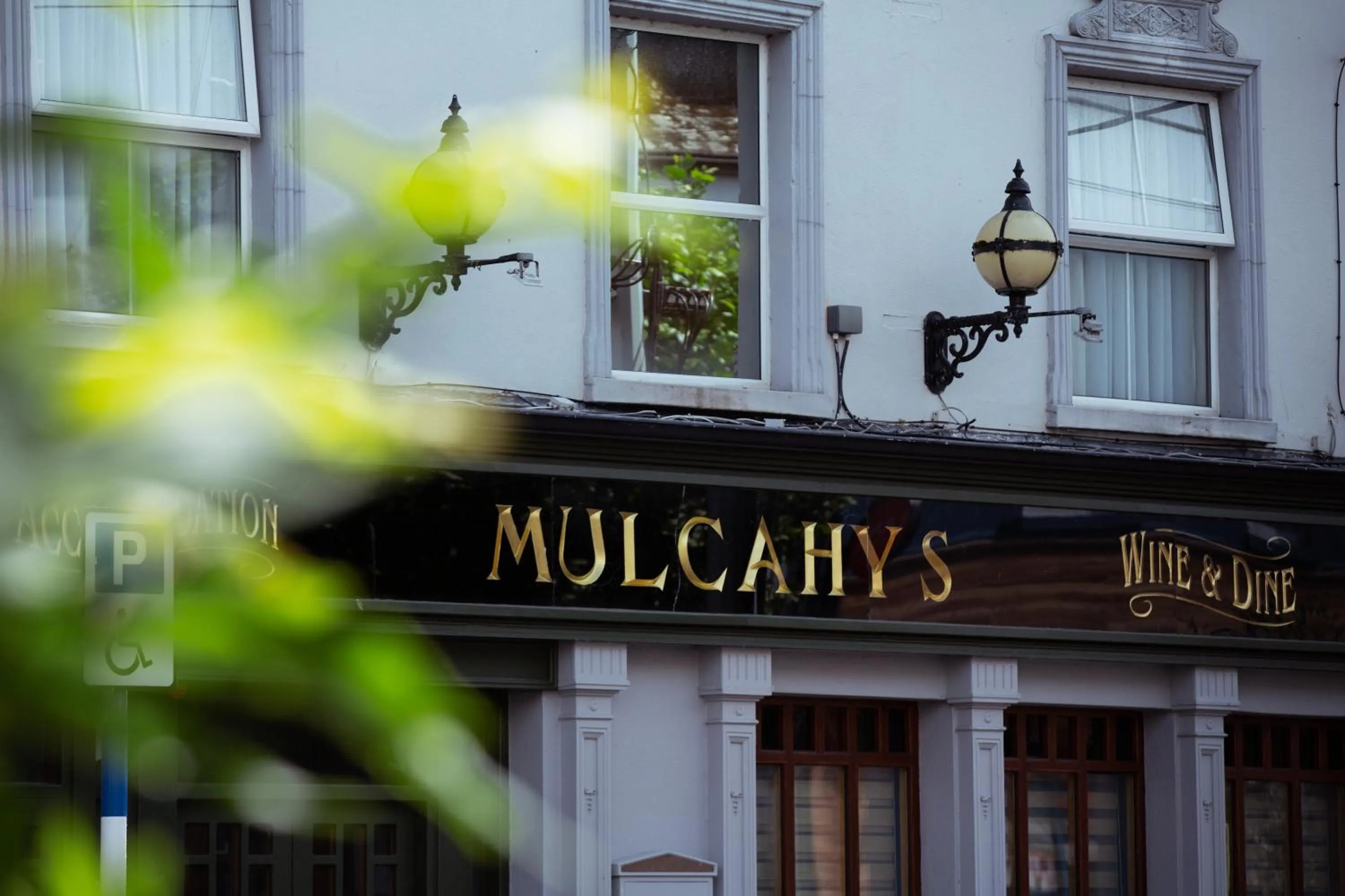 Property building in Mulcahys