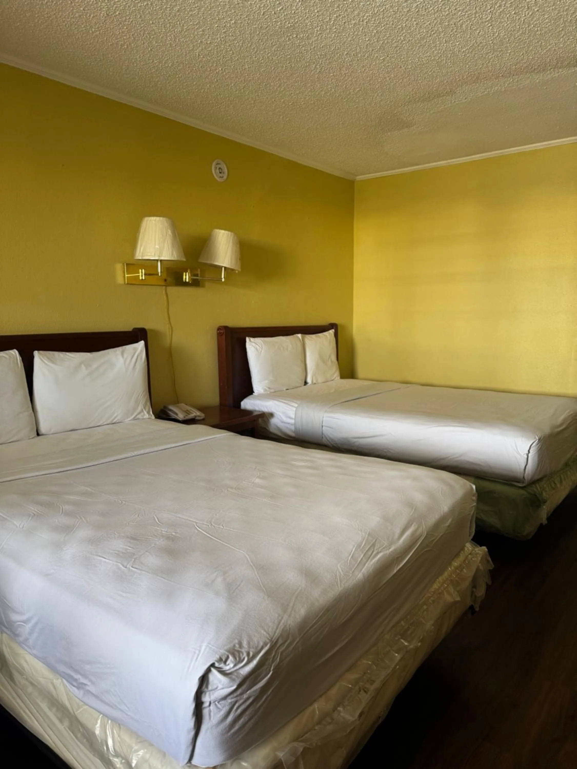 Bed in Evergreen Plaza Inn