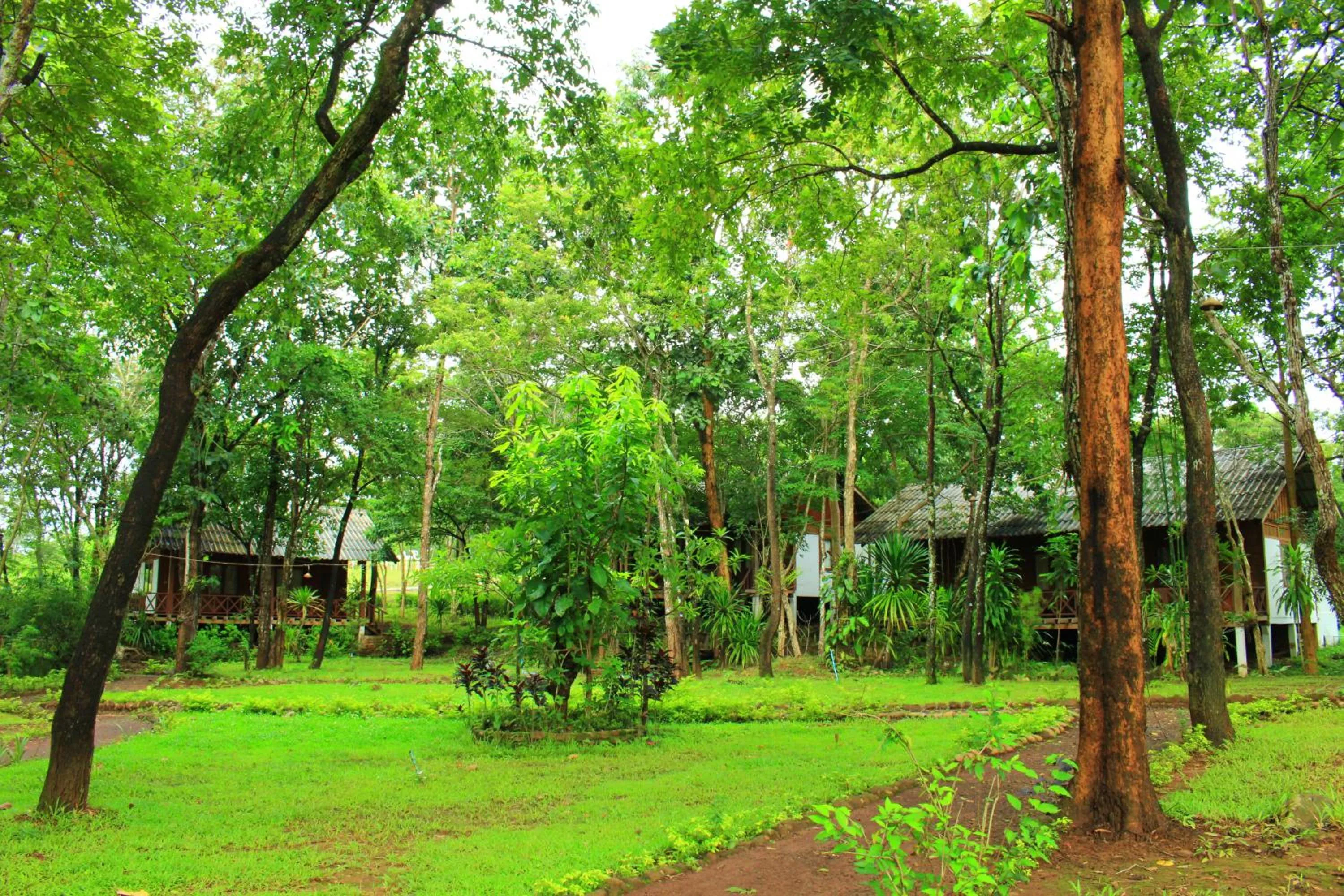Garden view in Tadlo Lodge