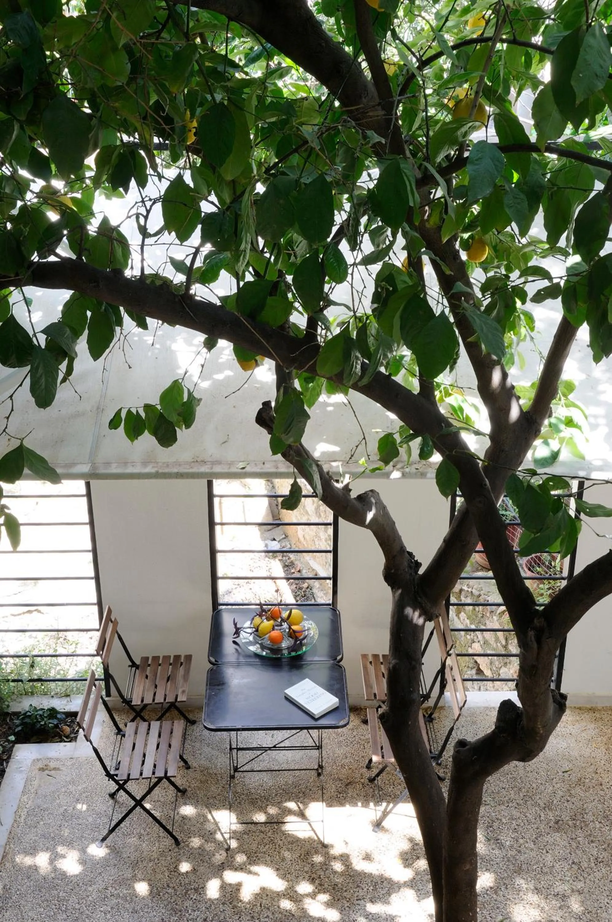 Garden in Athens Green Apartments