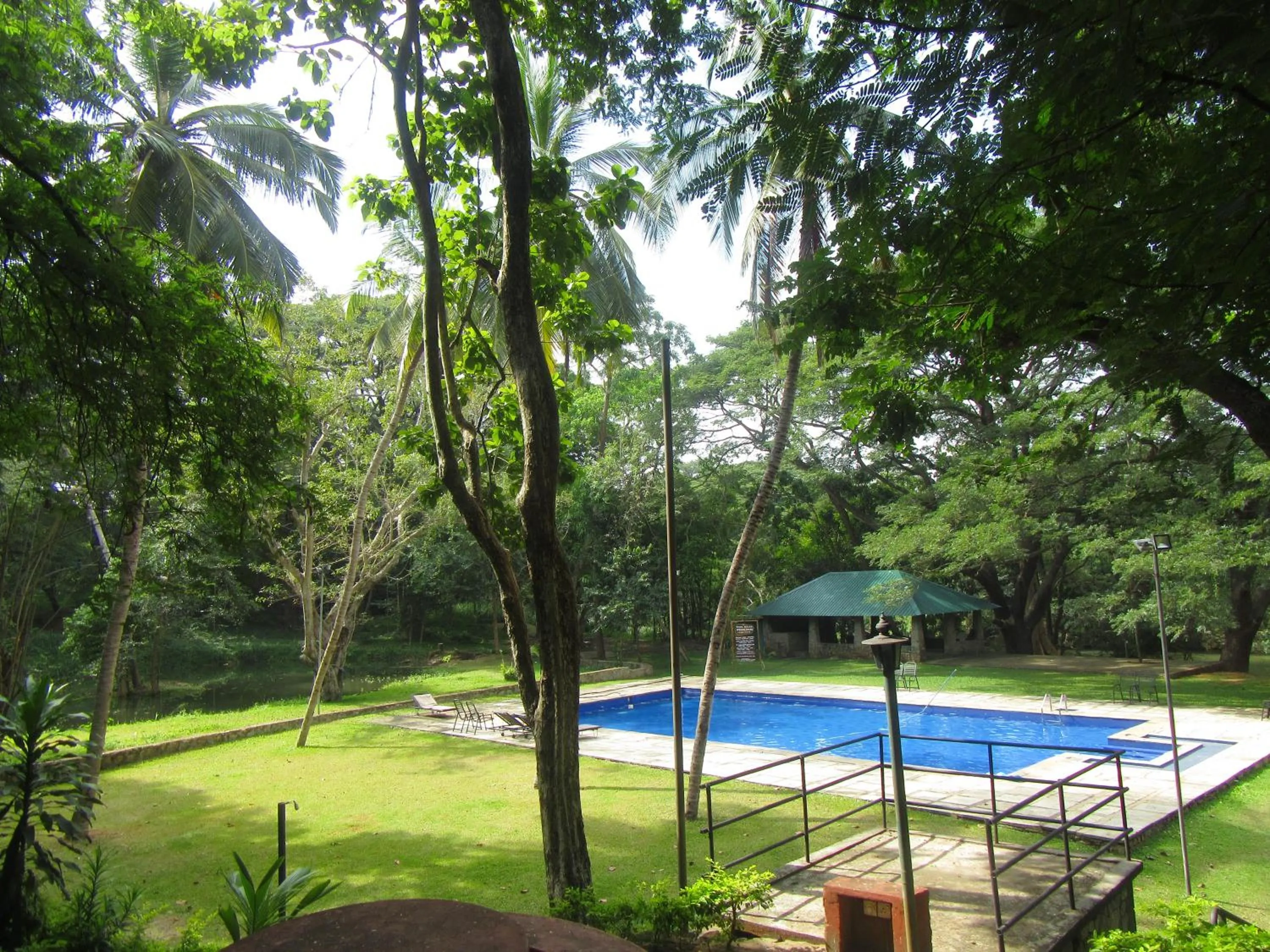 Pool view in Dambulu Oya Family Park