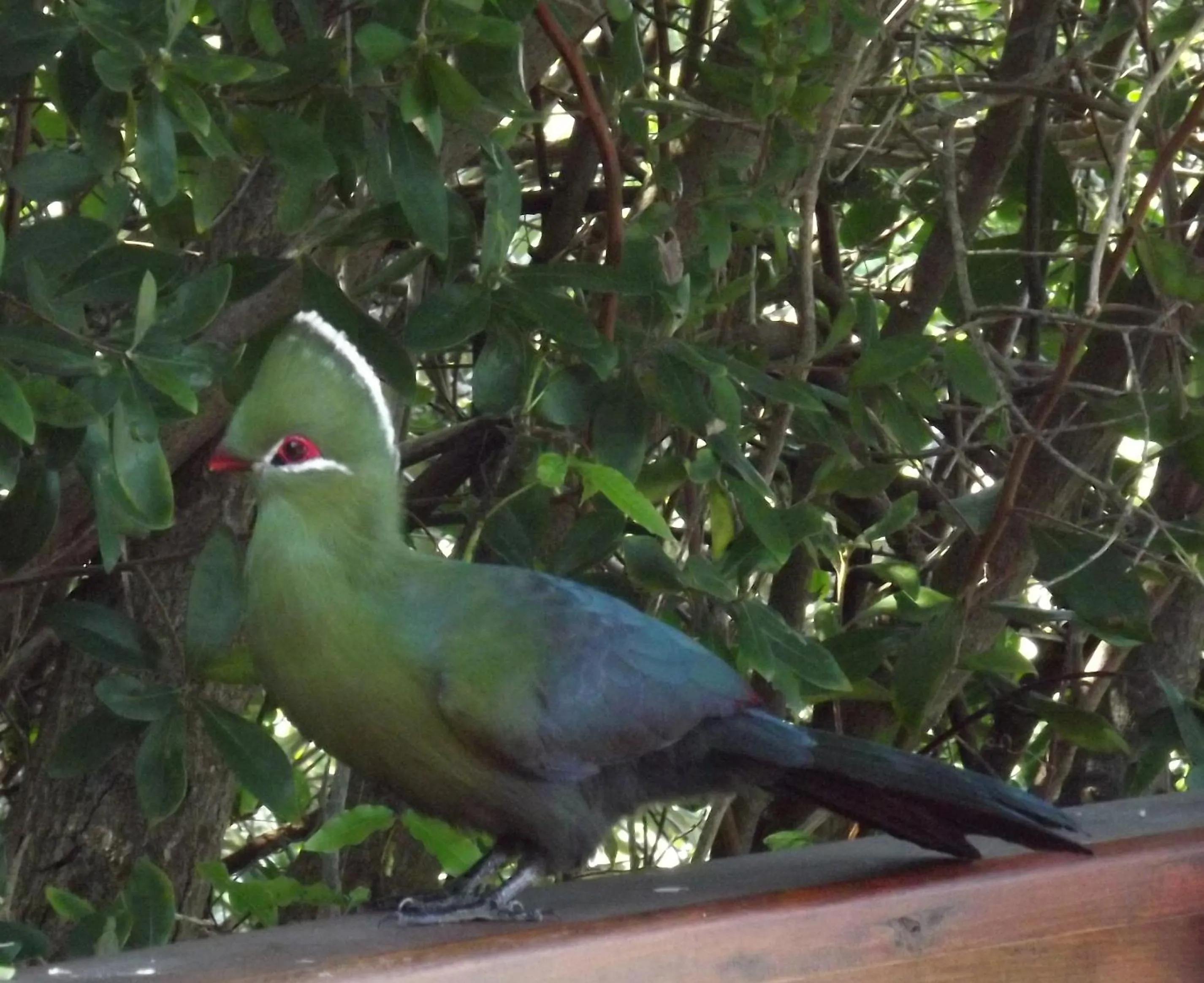 View (from property/room) in Boardwalk Lodge – Self-Catering