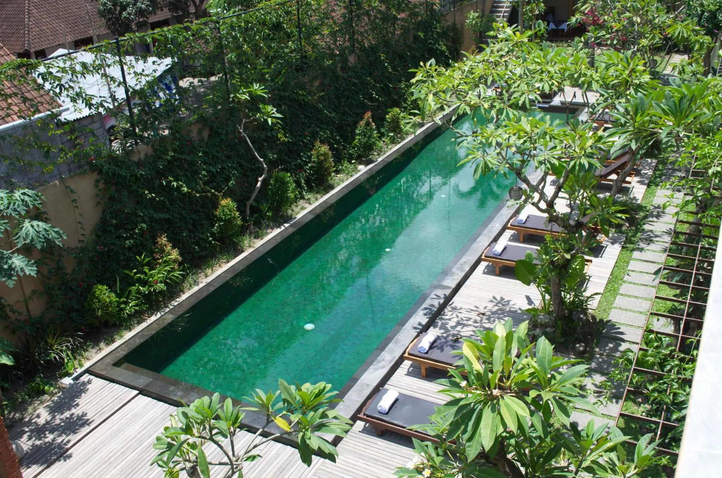 Swimming pool in Sapodilla Ubud