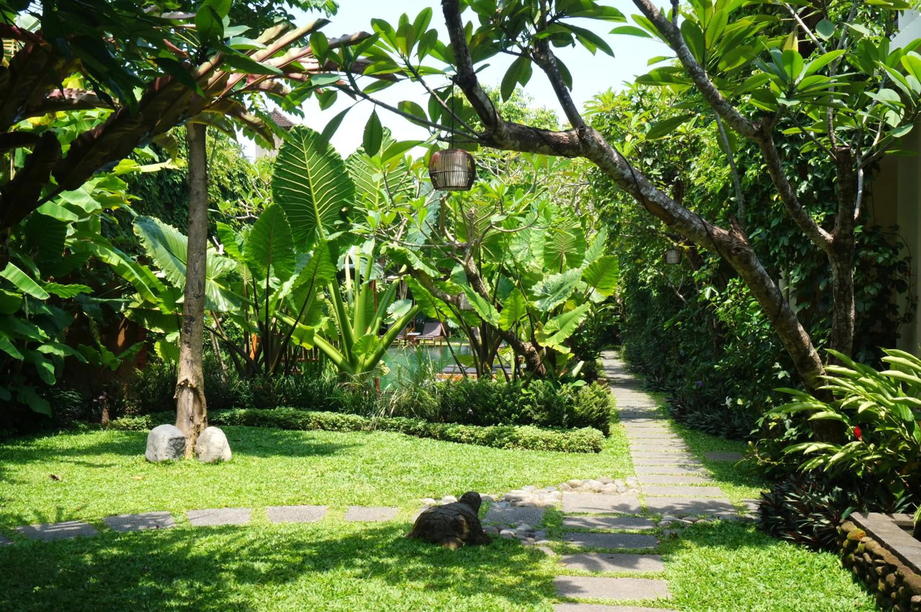 Natural landscape in Sapodilla Ubud