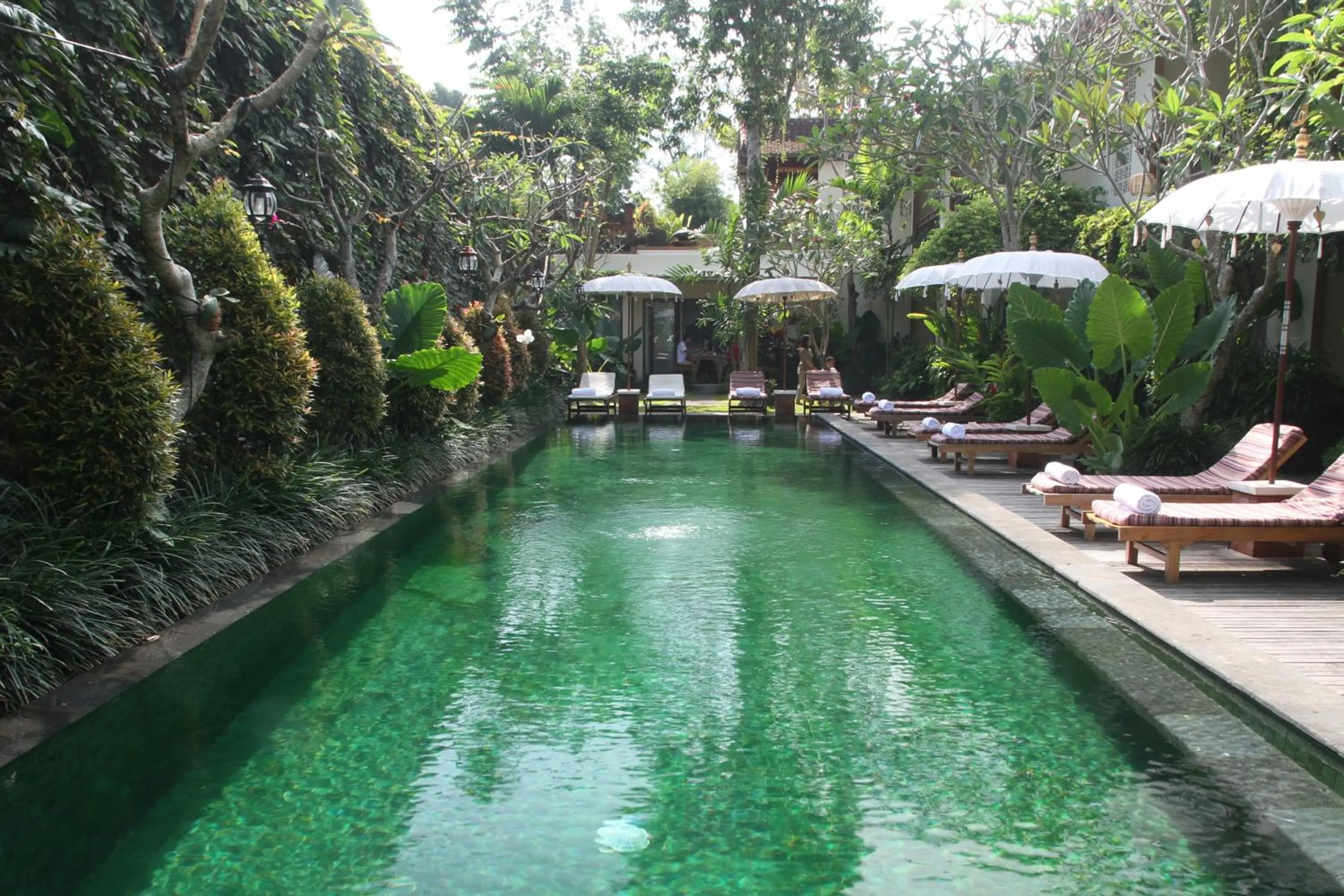 Pool view in Sapodilla Ubud