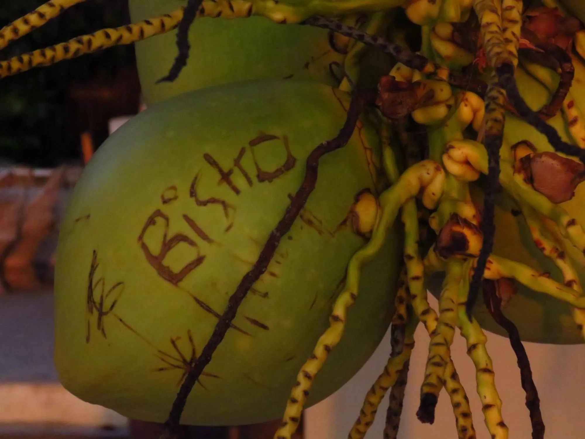 Restaurant/places to eat in Maya Beach Hotel