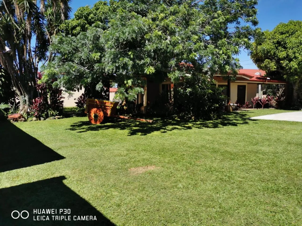 Garden in Hotel Cibeles Resort